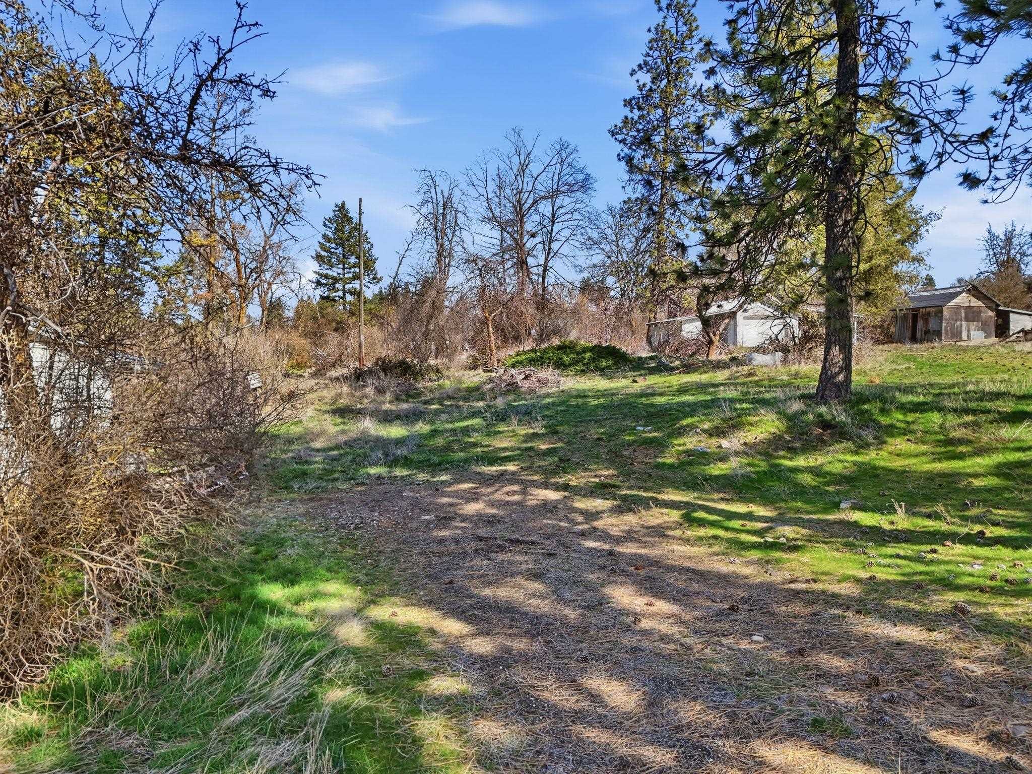 11819 S SR 904 Hwy - Photo 3