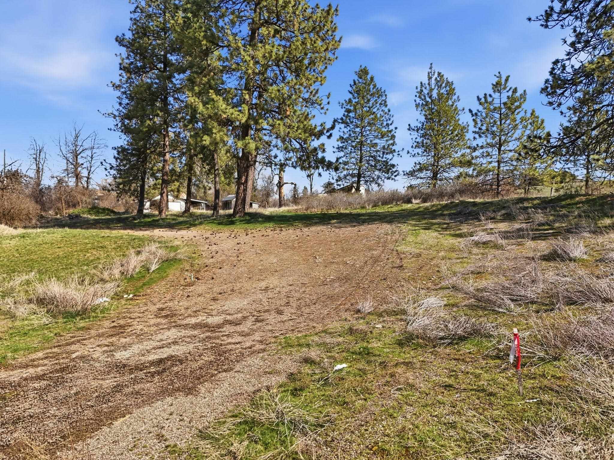11819 S SR 904 Hwy - Photo 5