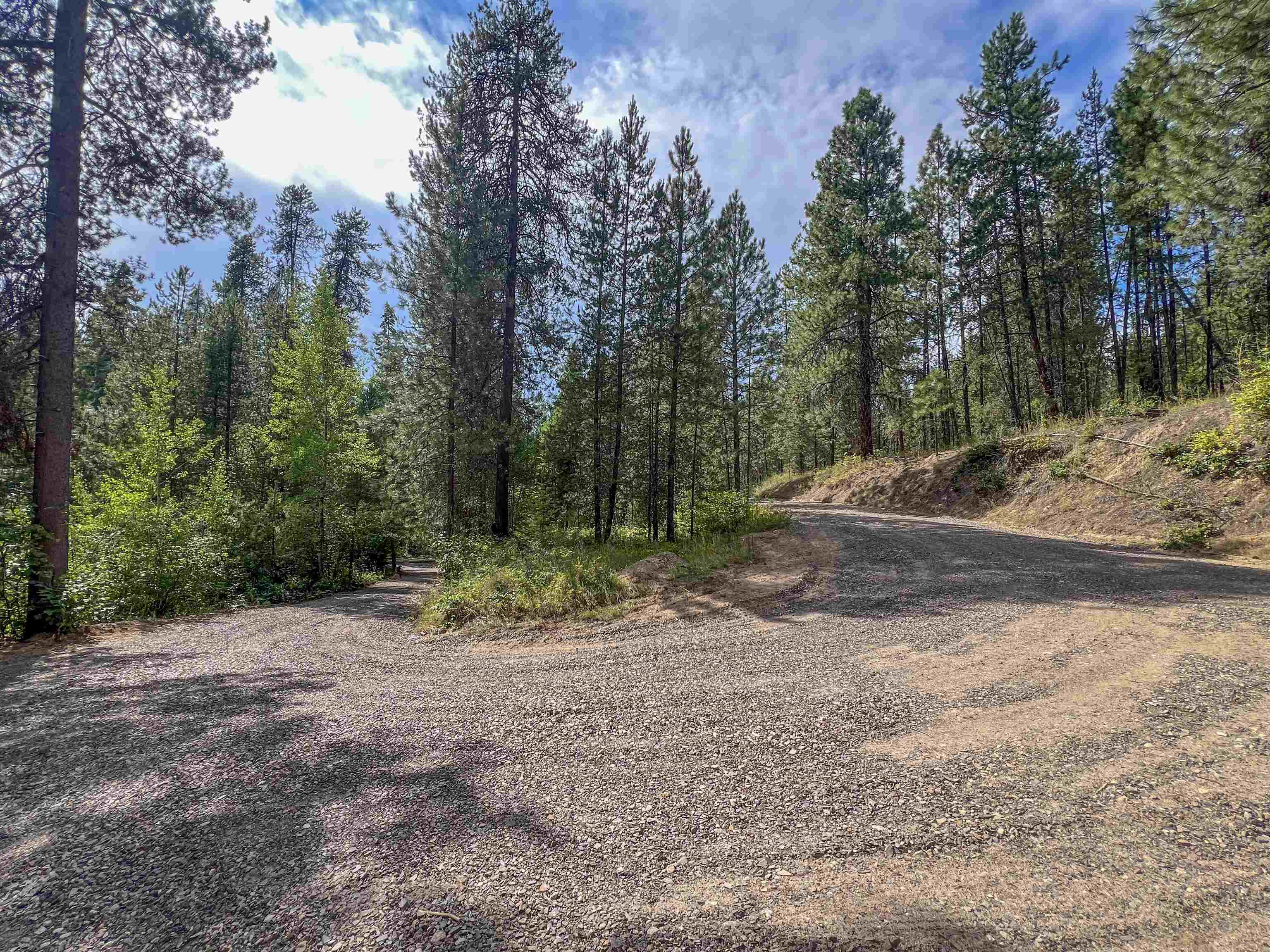 3402 Larkspur Way - Photo 44