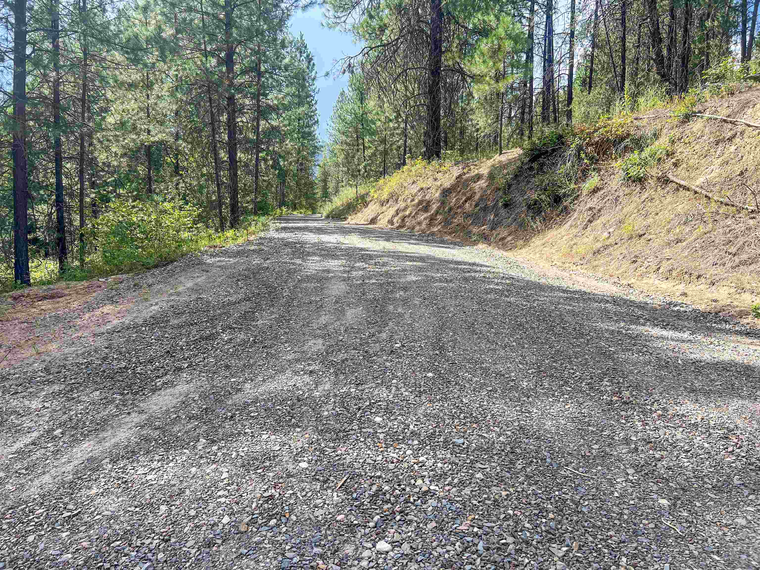 3402 Larkspur Way - Photo 45