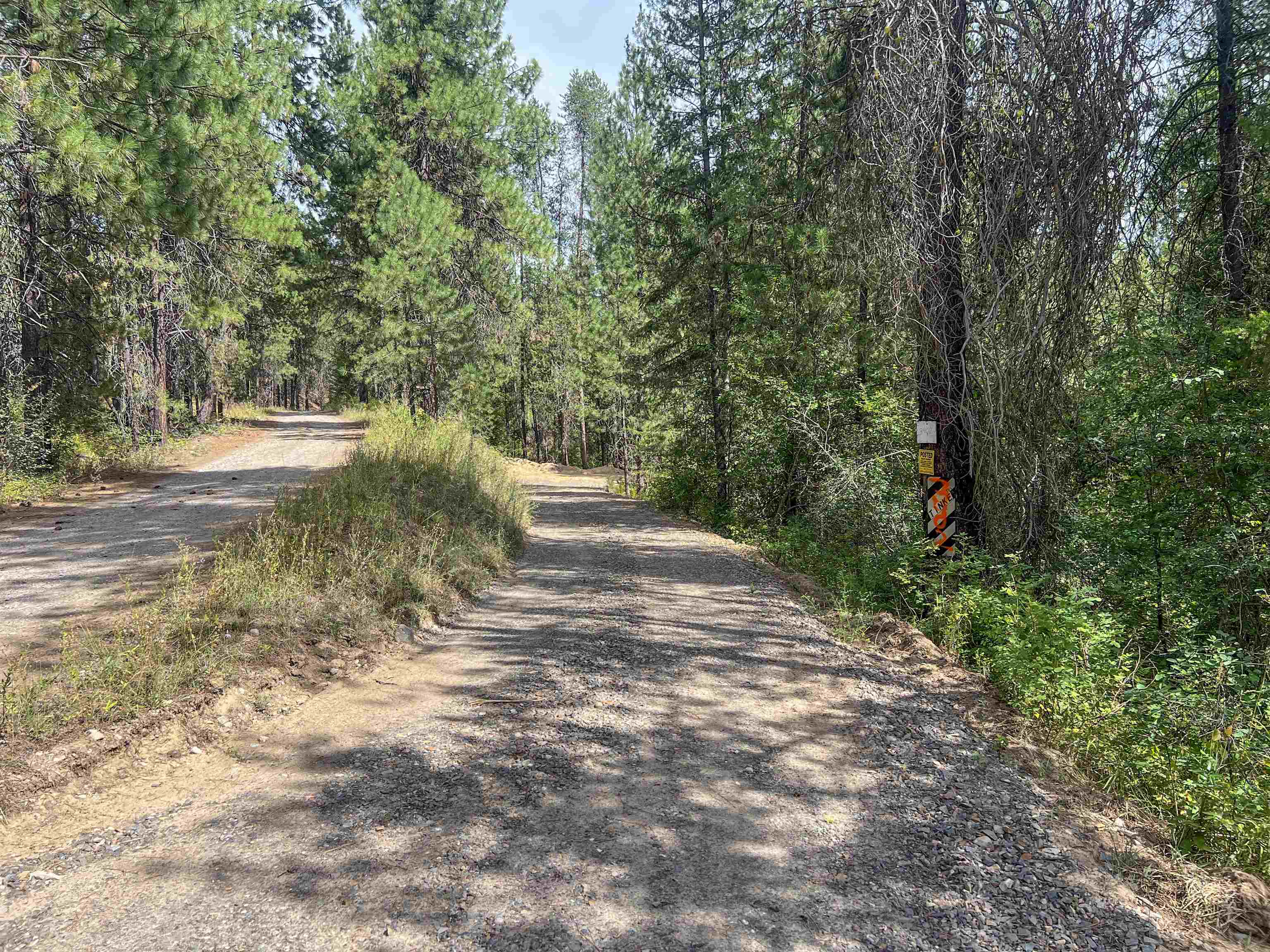 3402 Larkspur Way - Photo 46