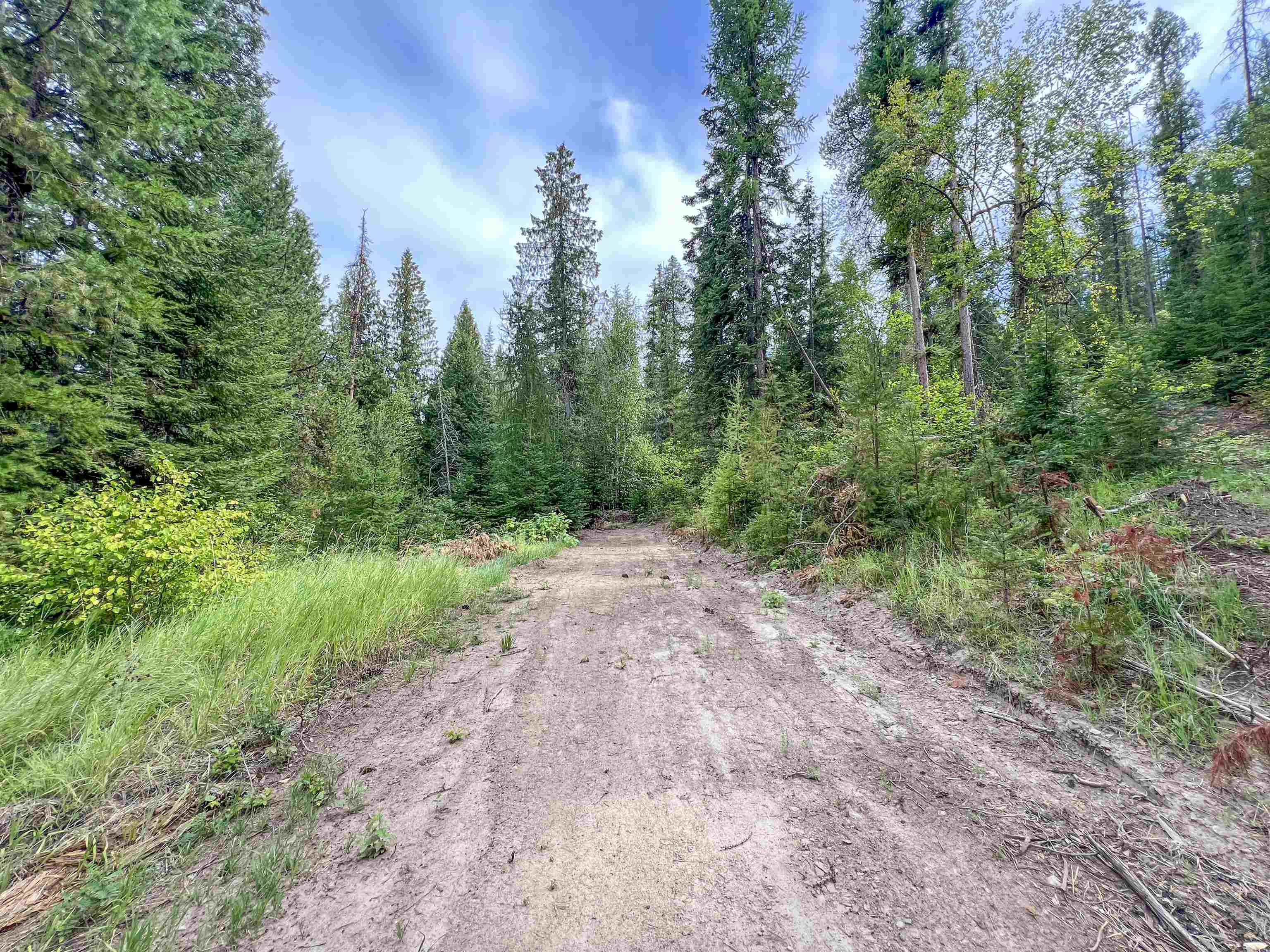 3402 Larkspur Way - Photo 47