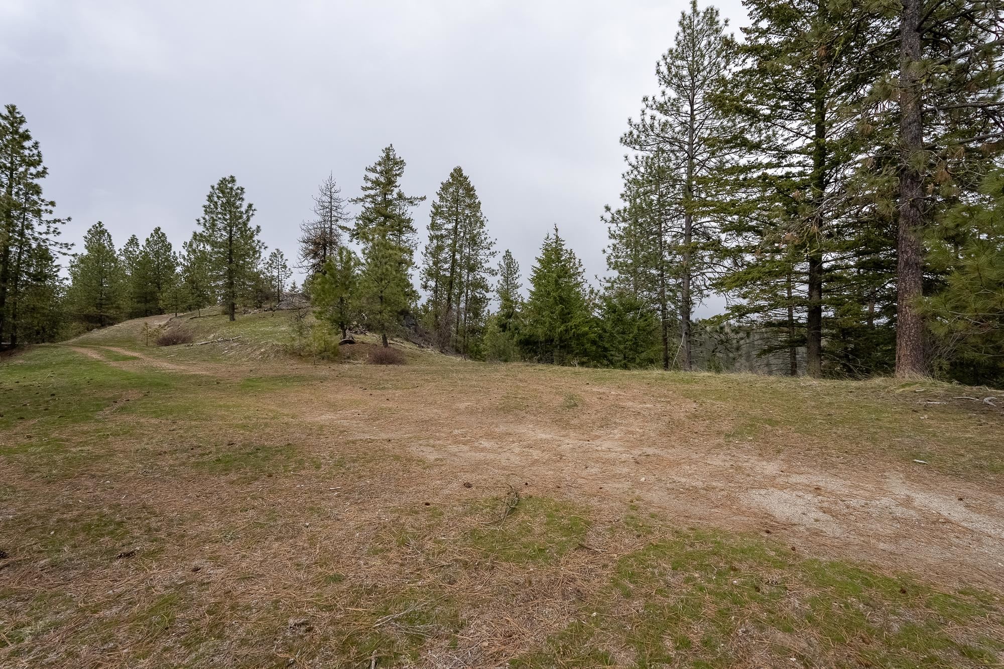 16510 N Abigail Ln - Photo 14