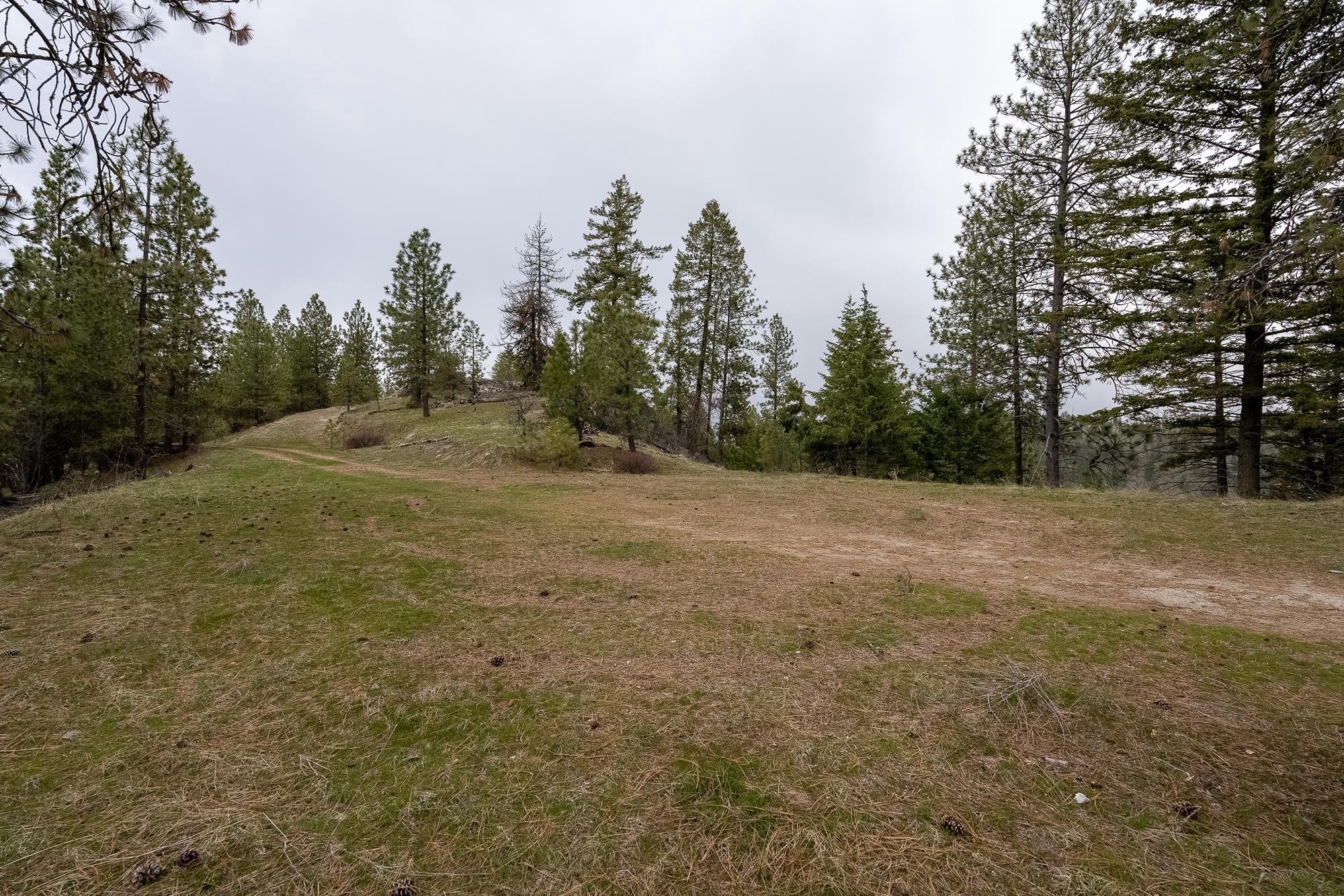 16510 N Abigail Ln - Photo 16