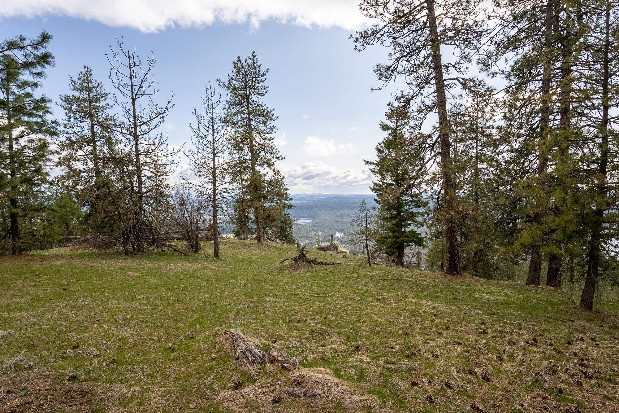 16510 N Abigail Ln - Photo 17