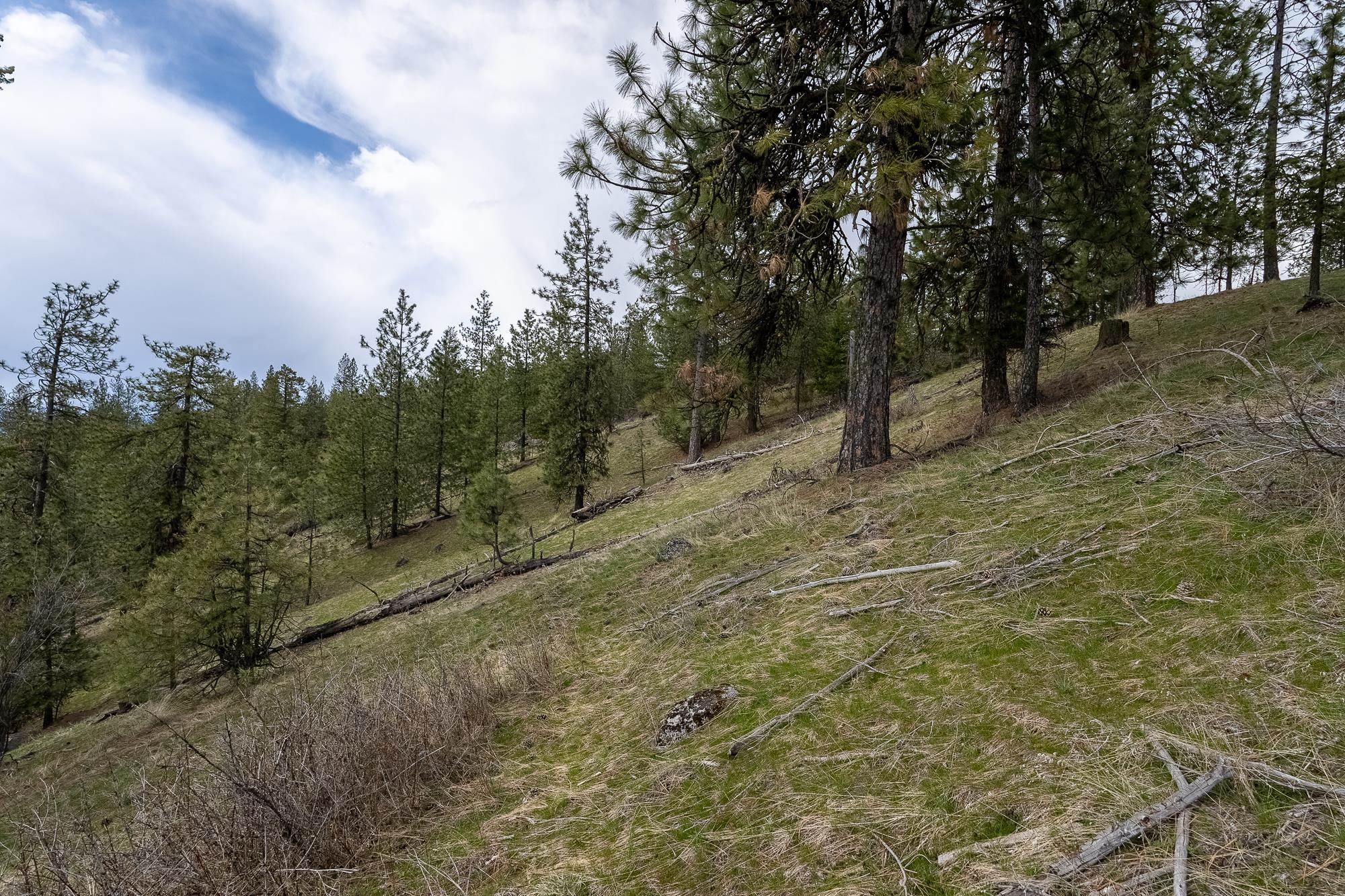 16510 N Abigail Ln - Photo 20