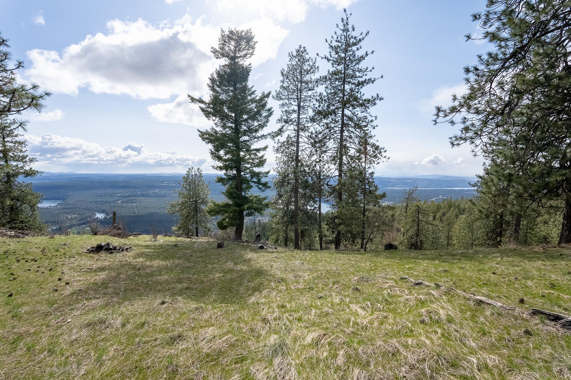 16510 N Abigail Ln - Photo 21