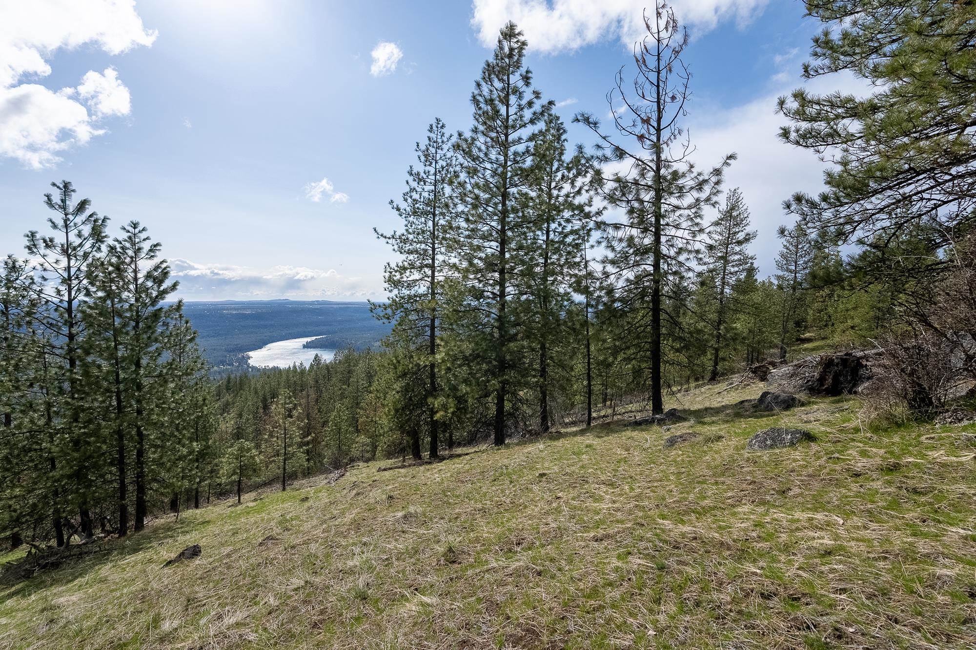 16510 N Abigail Ln - Photo 23