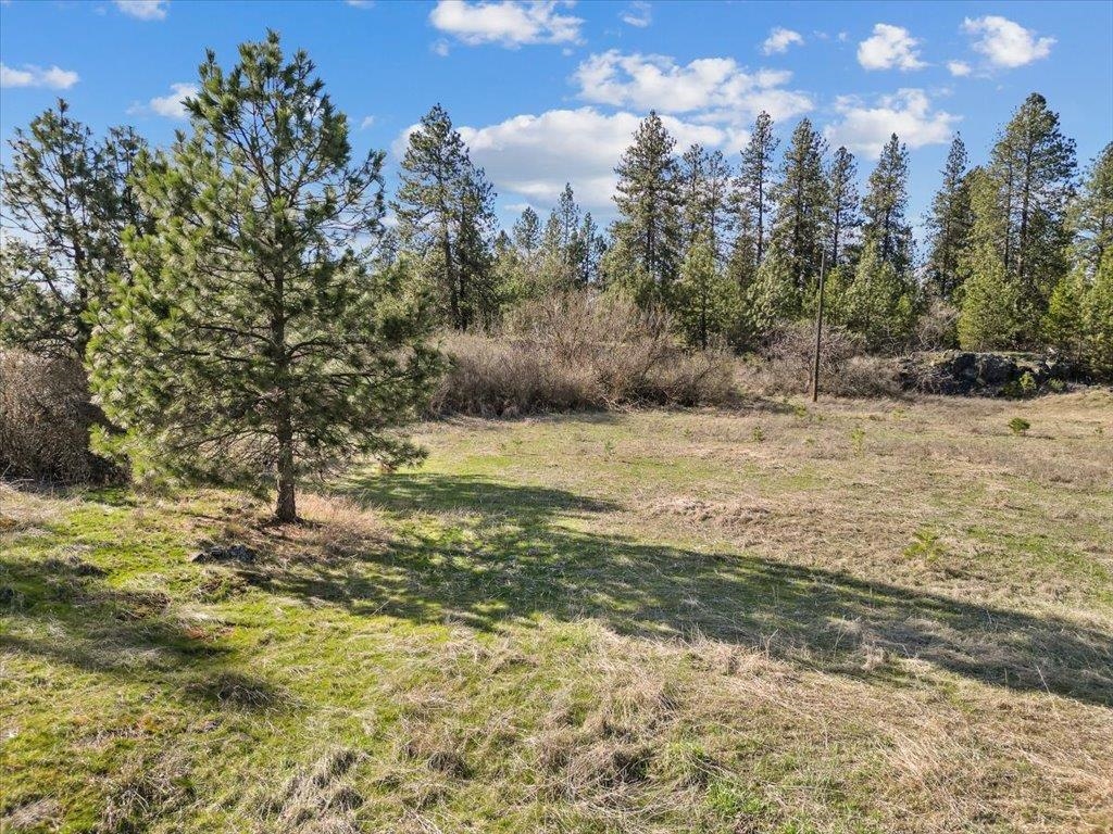 55XX W Lawton Rd - Photo 14