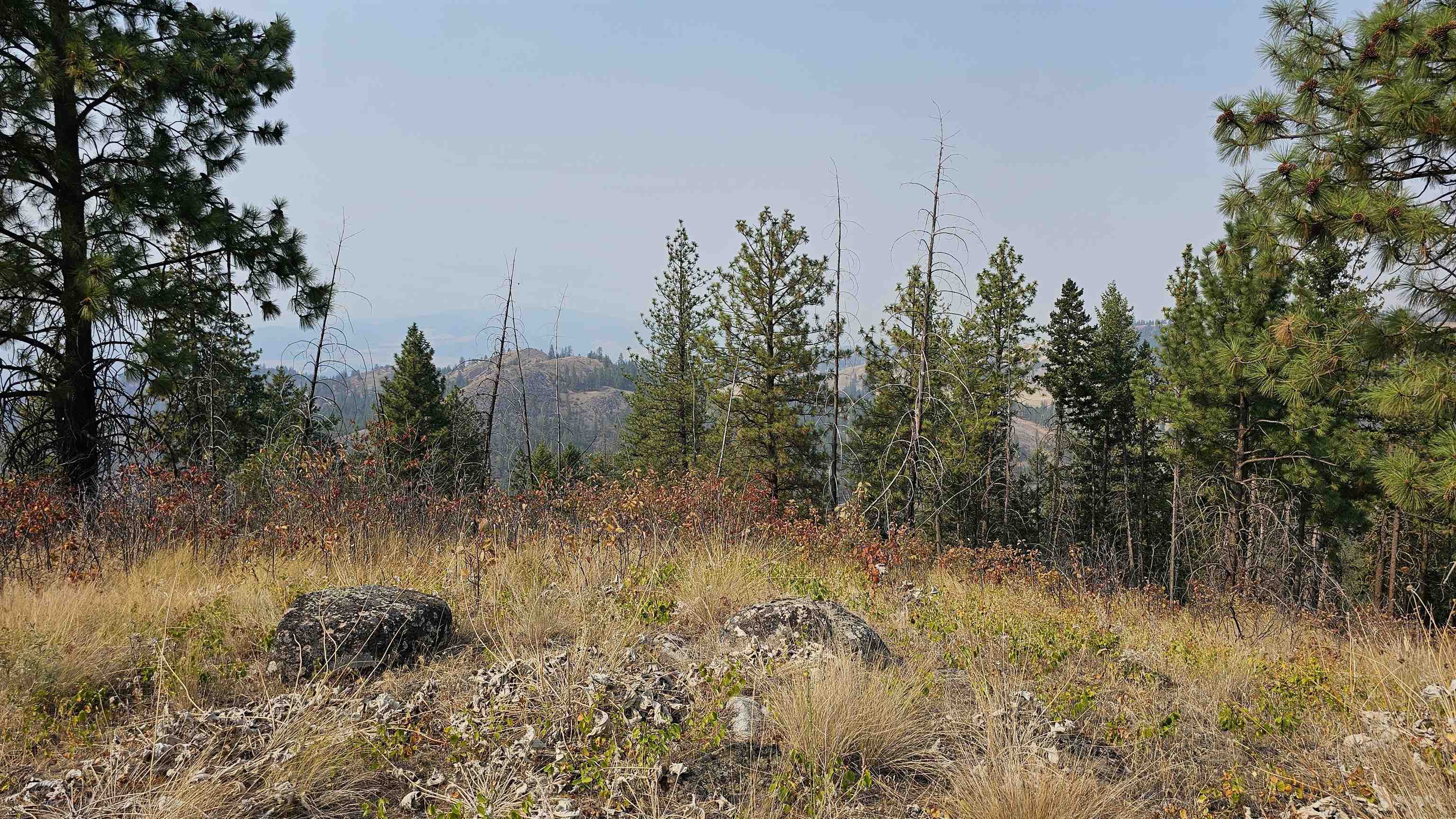 5884 H Coyote Canyon Rd - Photo 11