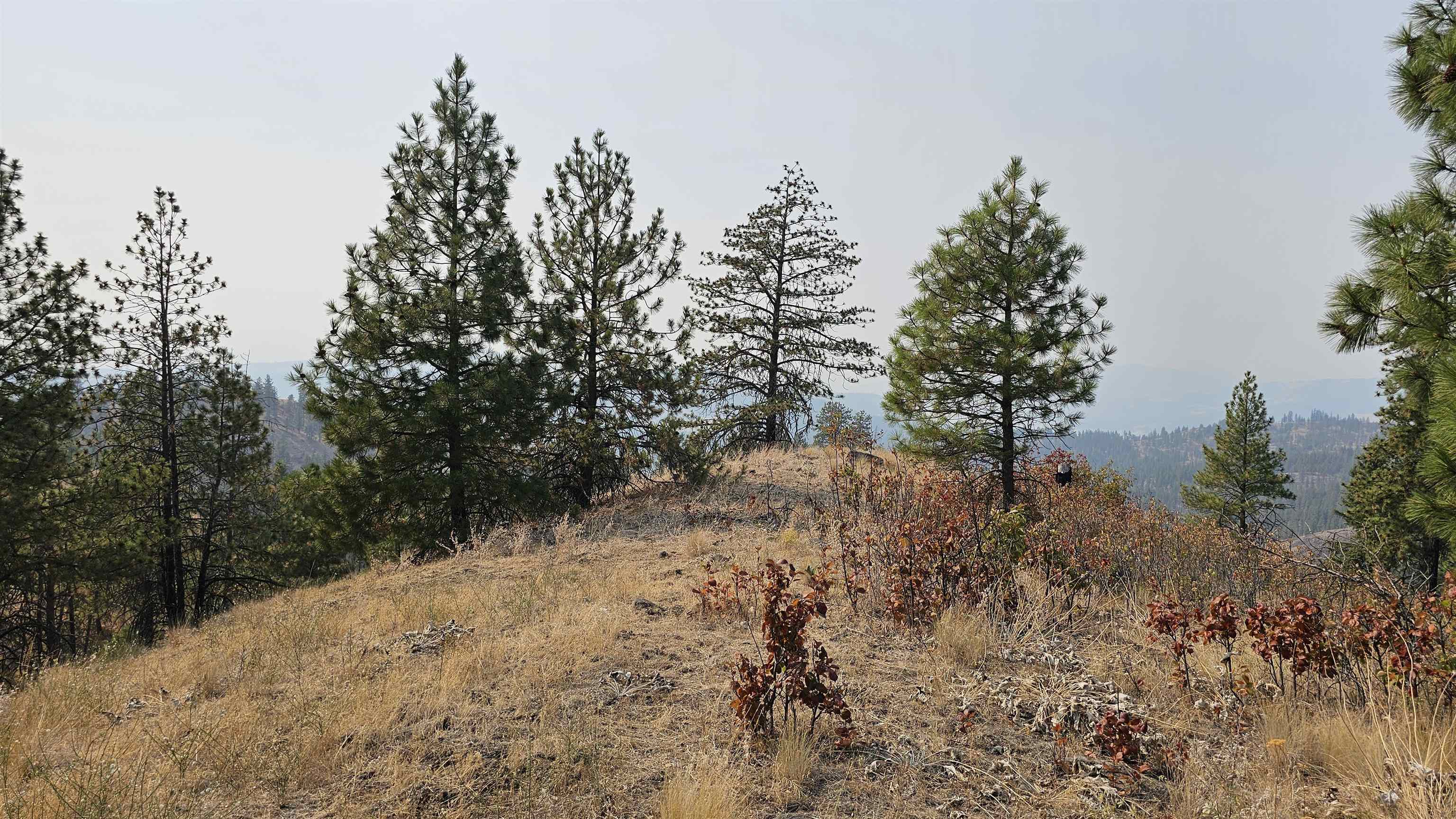 5884 H Coyote Canyon Rd - Photo 12