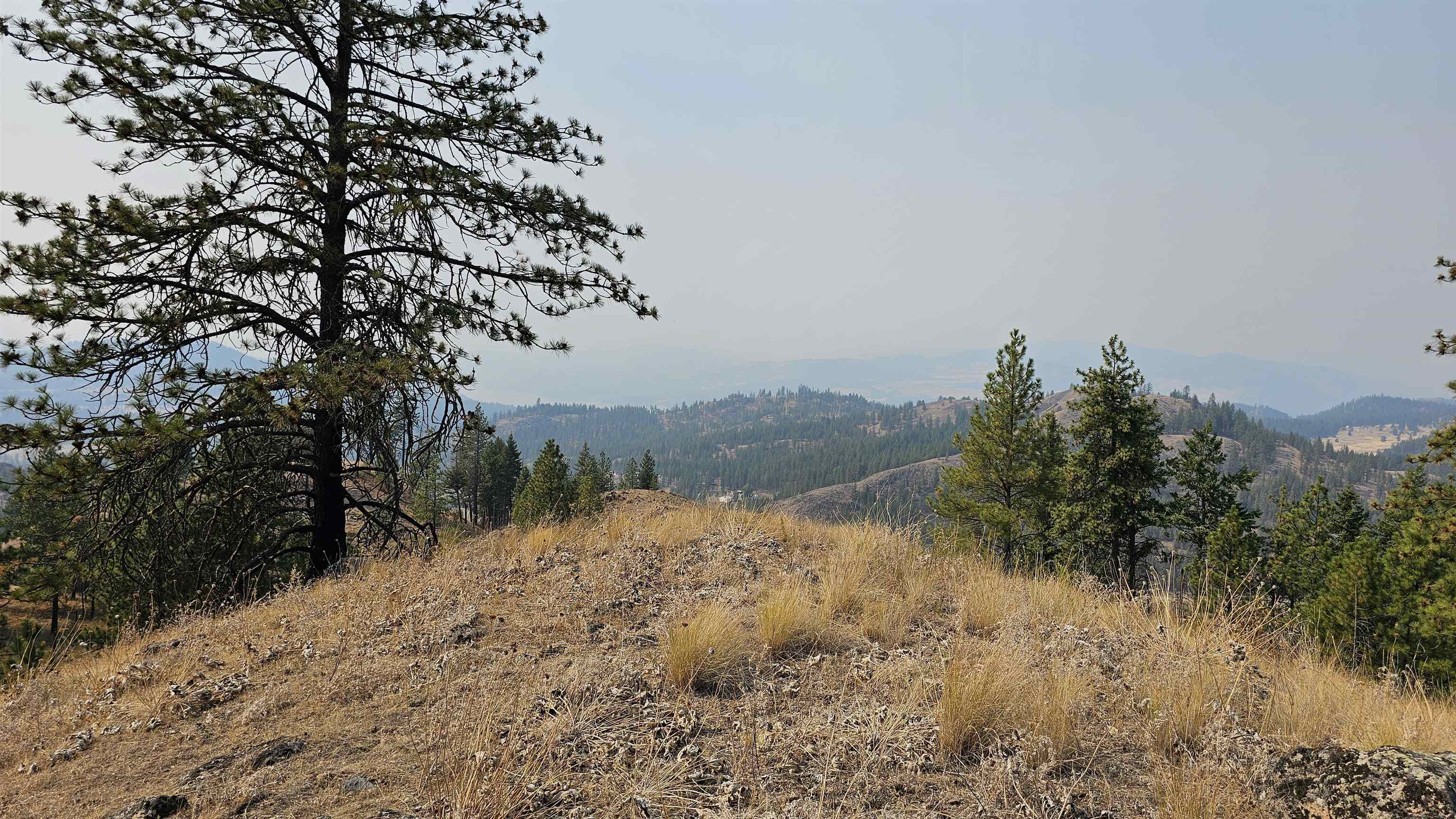 5884 H Coyote Canyon Rd - Photo 13