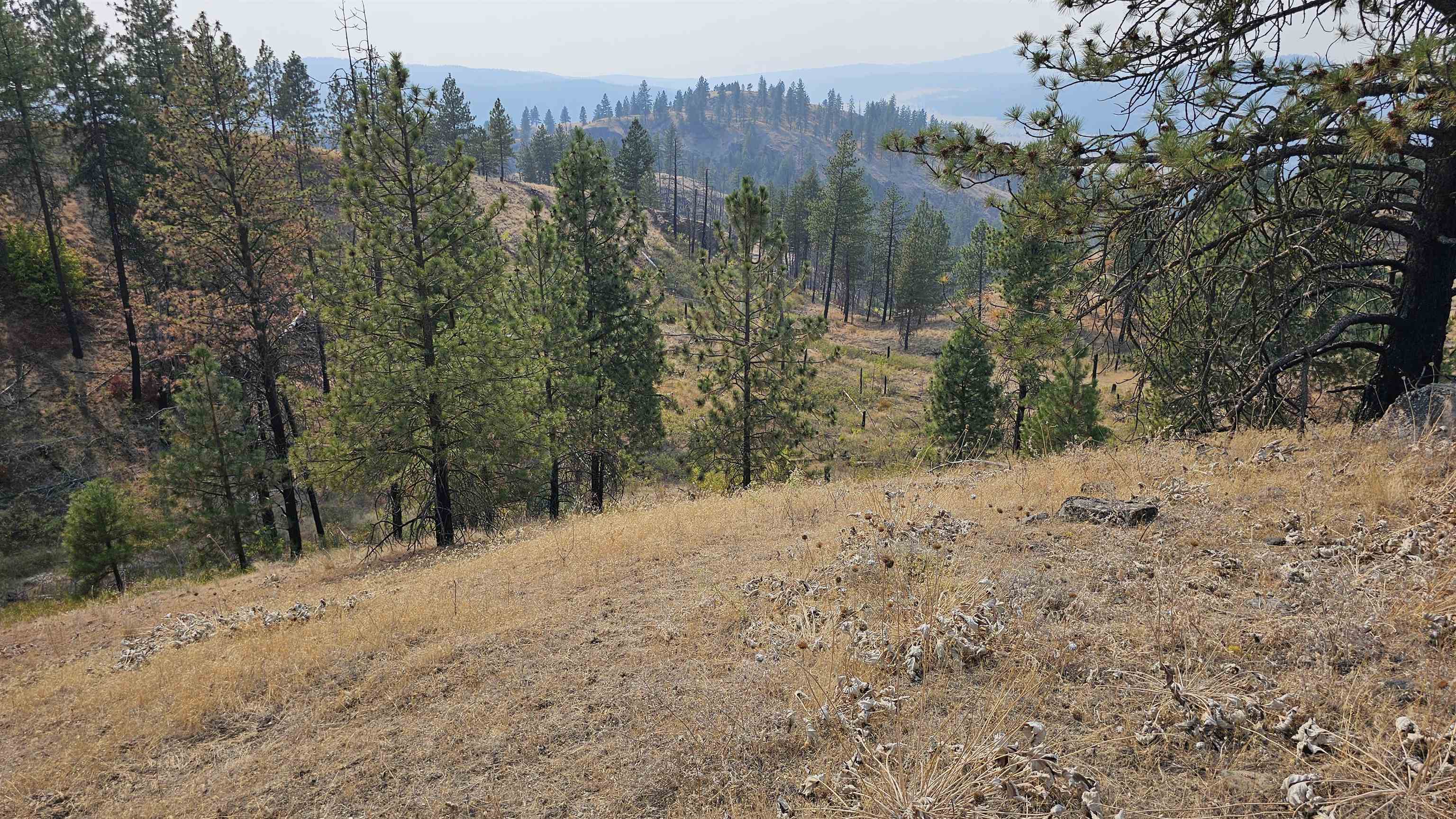 5884 H Coyote Canyon Rd - Photo 14