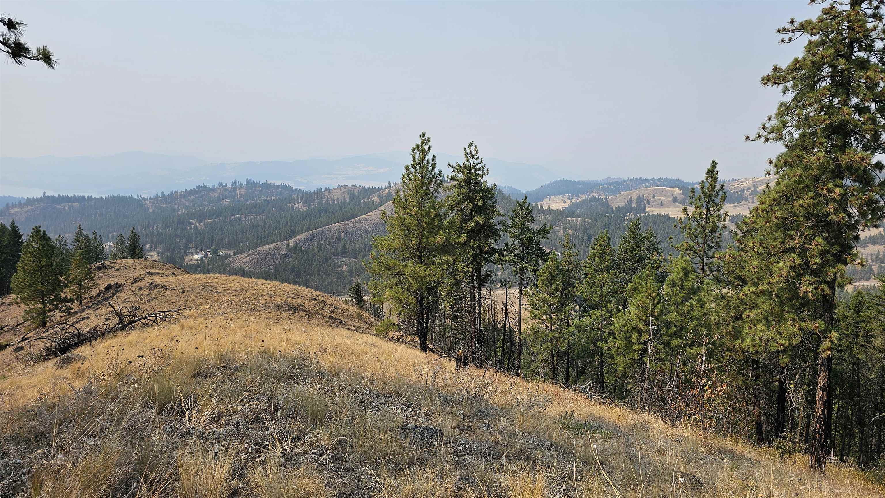 5884 H Coyote Canyon Rd - Photo 16
