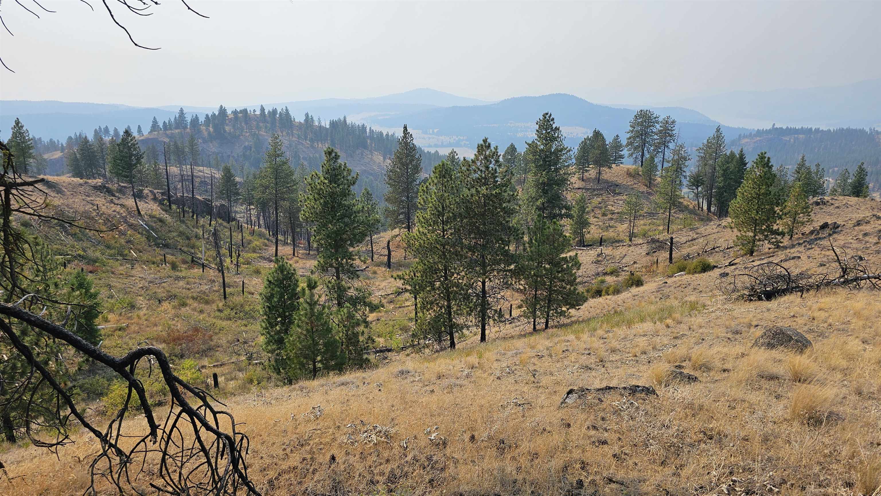 5884 H Coyote Canyon Rd - Photo 17