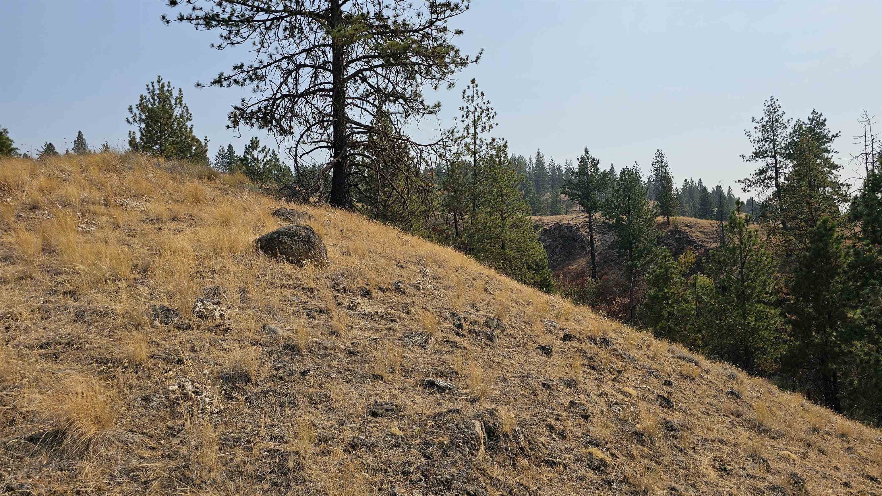 5884 H Coyote Canyon Rd - Photo 18