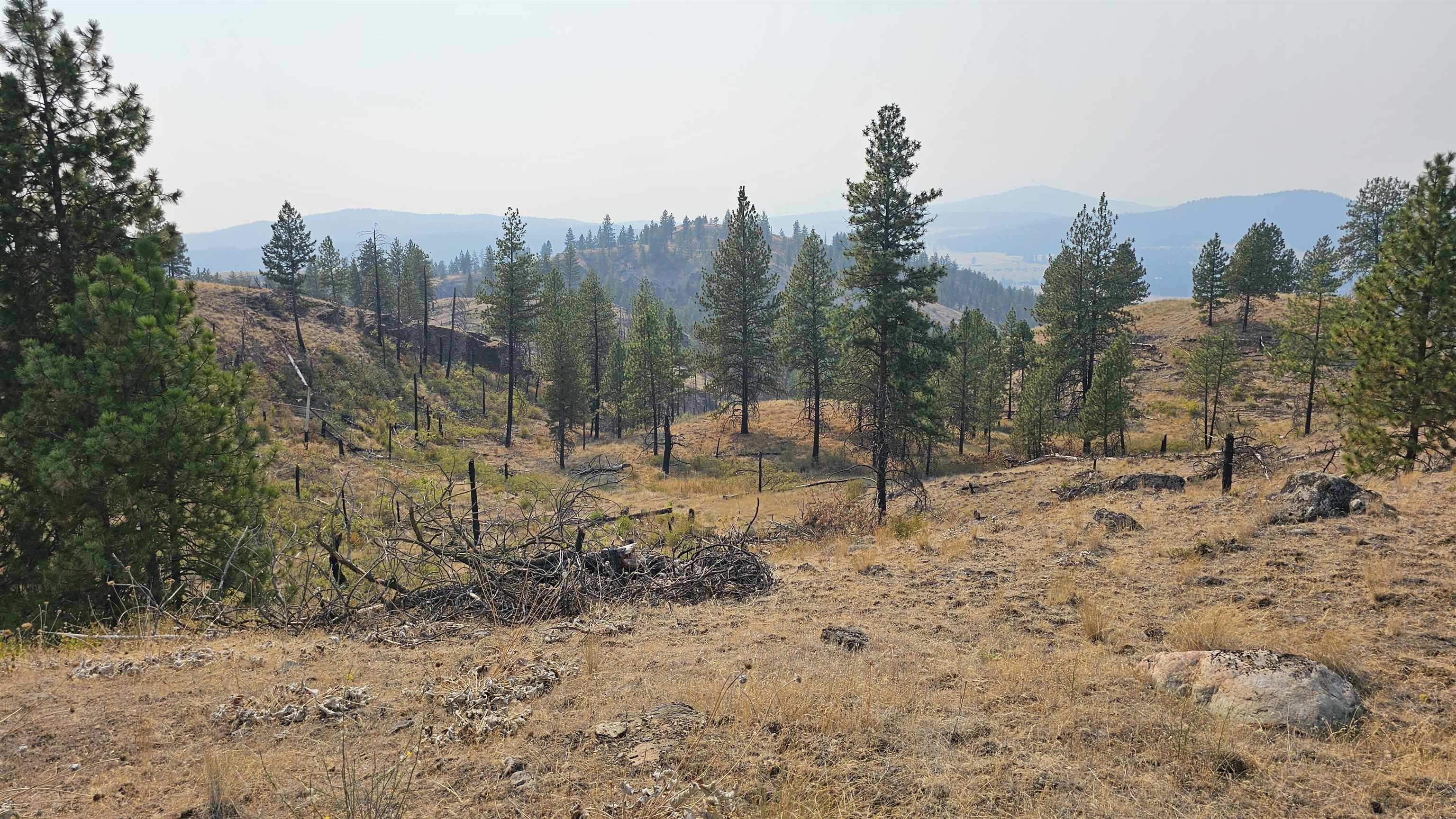 5884 H Coyote Canyon Rd - Photo 19