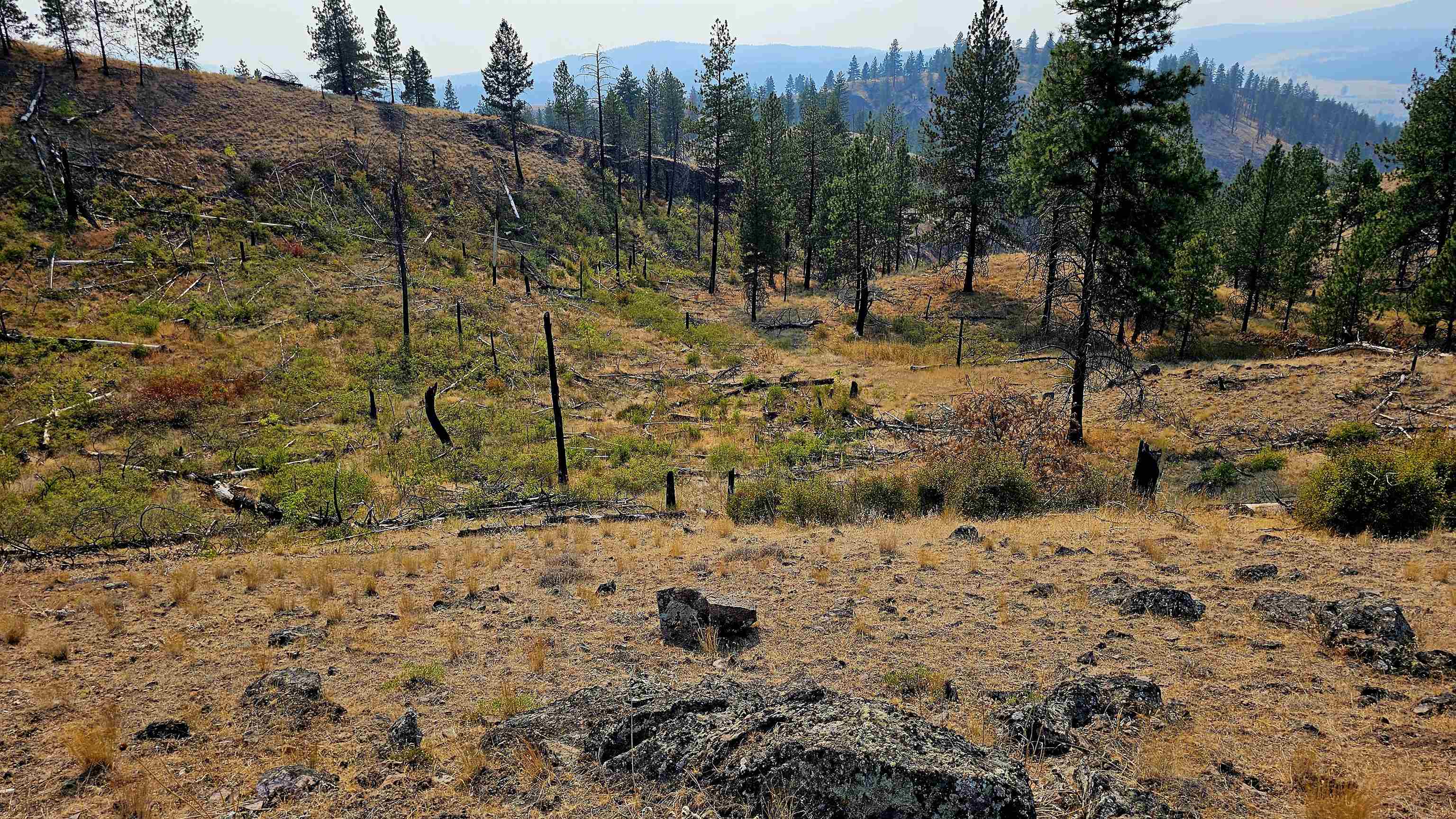5884 H Coyote Canyon Rd - Photo 20
