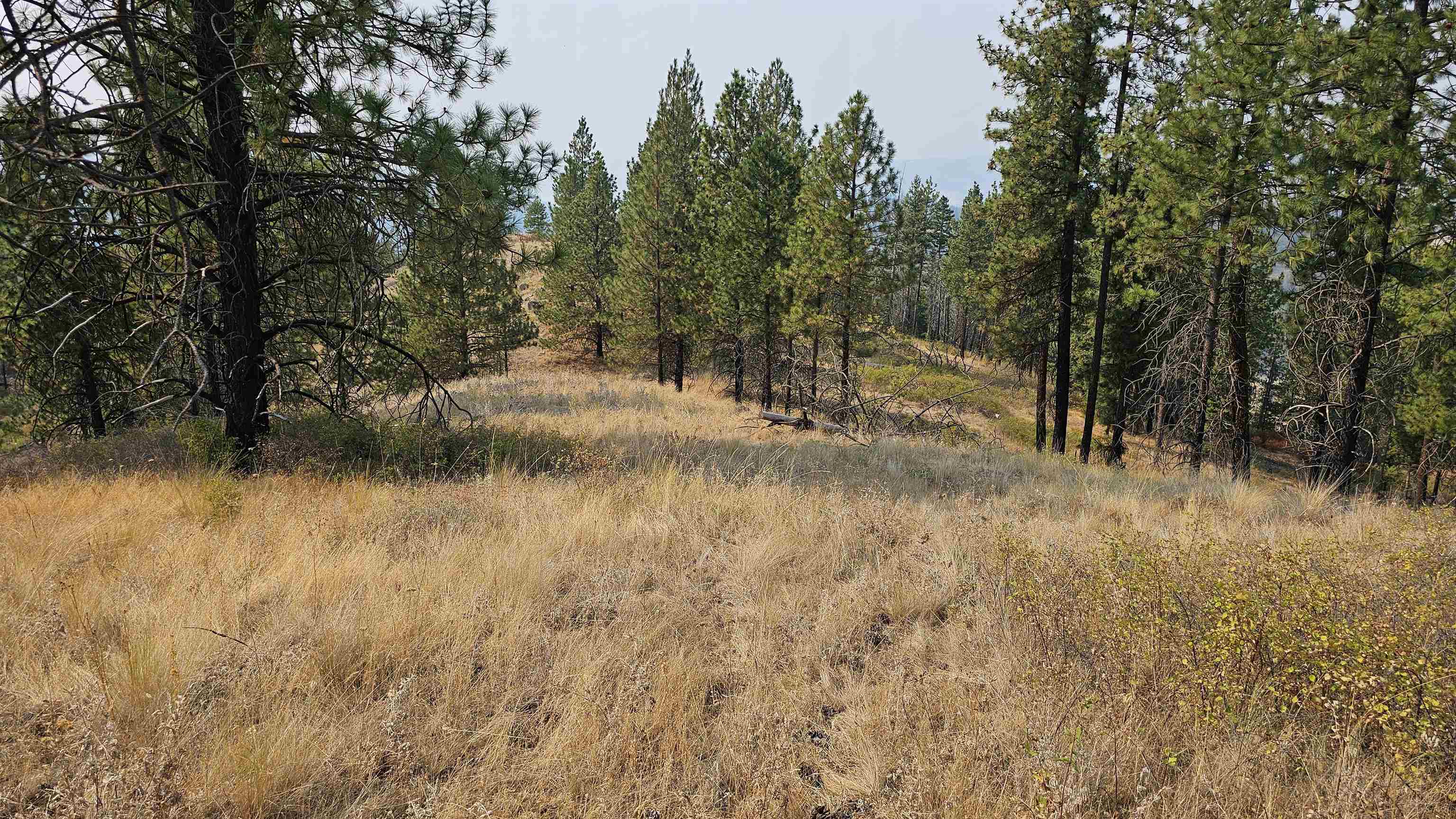 5884 H Coyote Canyon Rd - Photo 3