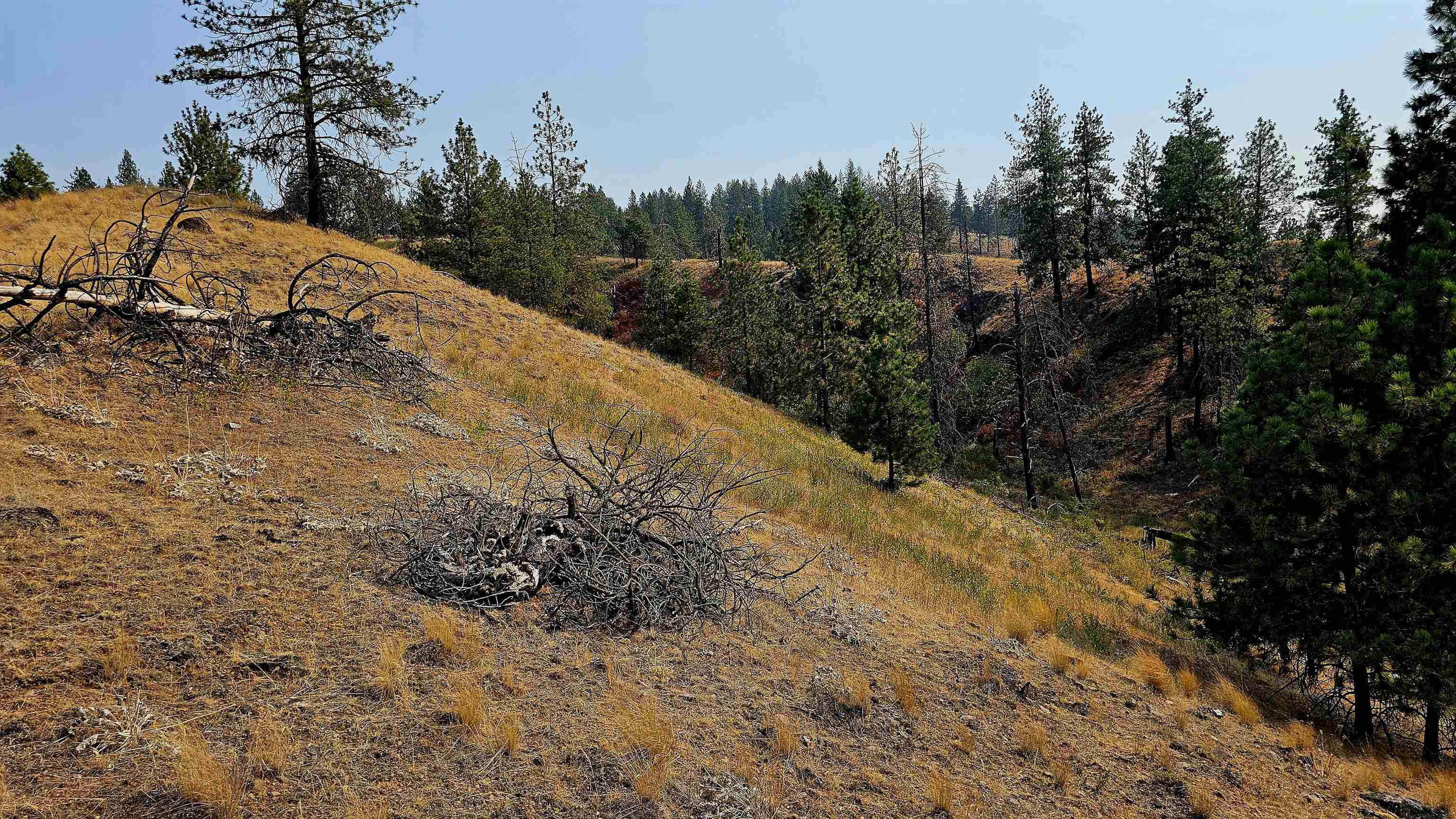 5884 H Coyote Canyon Rd - Photo 21