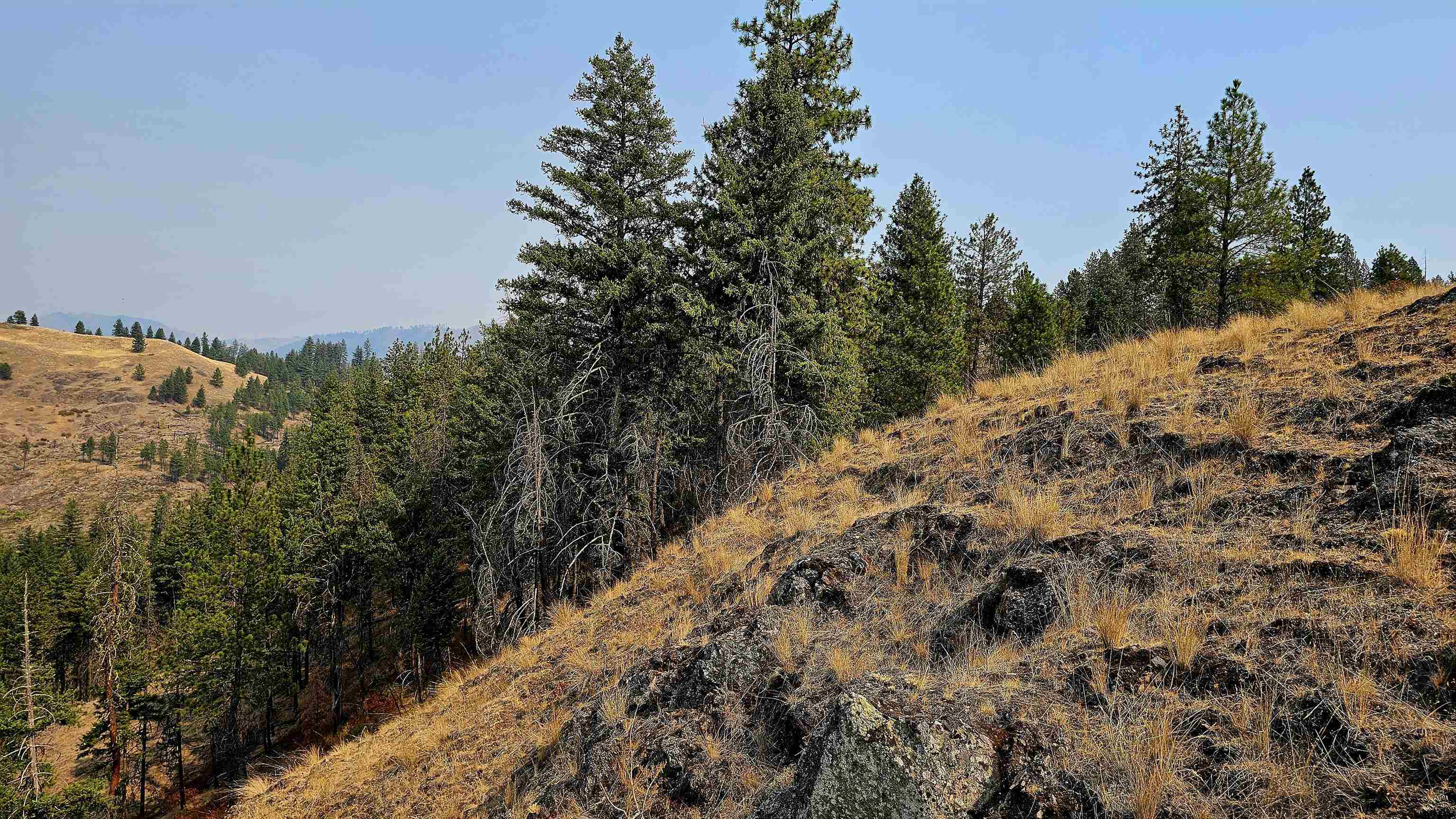 5884 H Coyote Canyon Rd - Photo 22