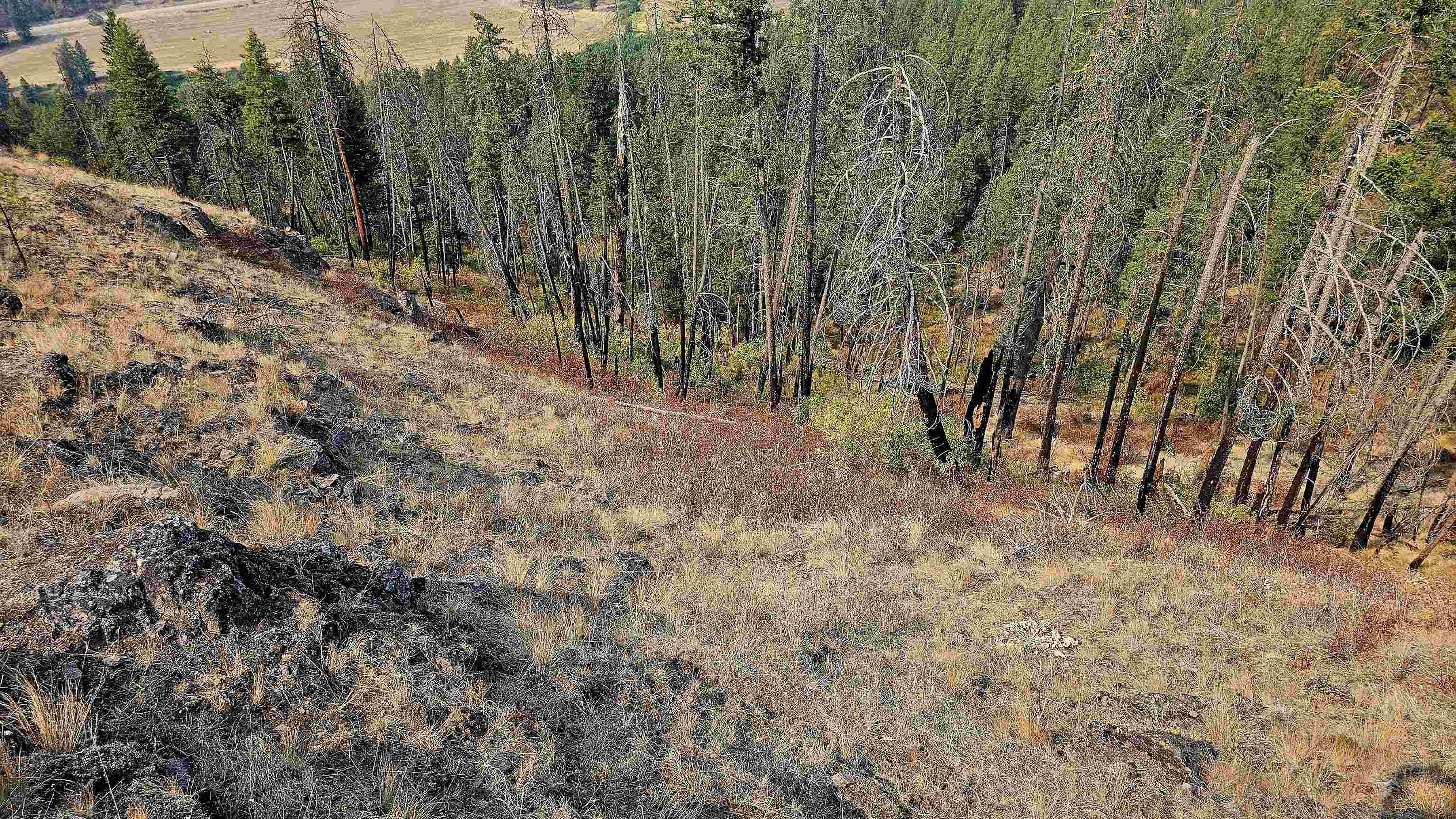 5884 H Coyote Canyon Rd - Photo 23