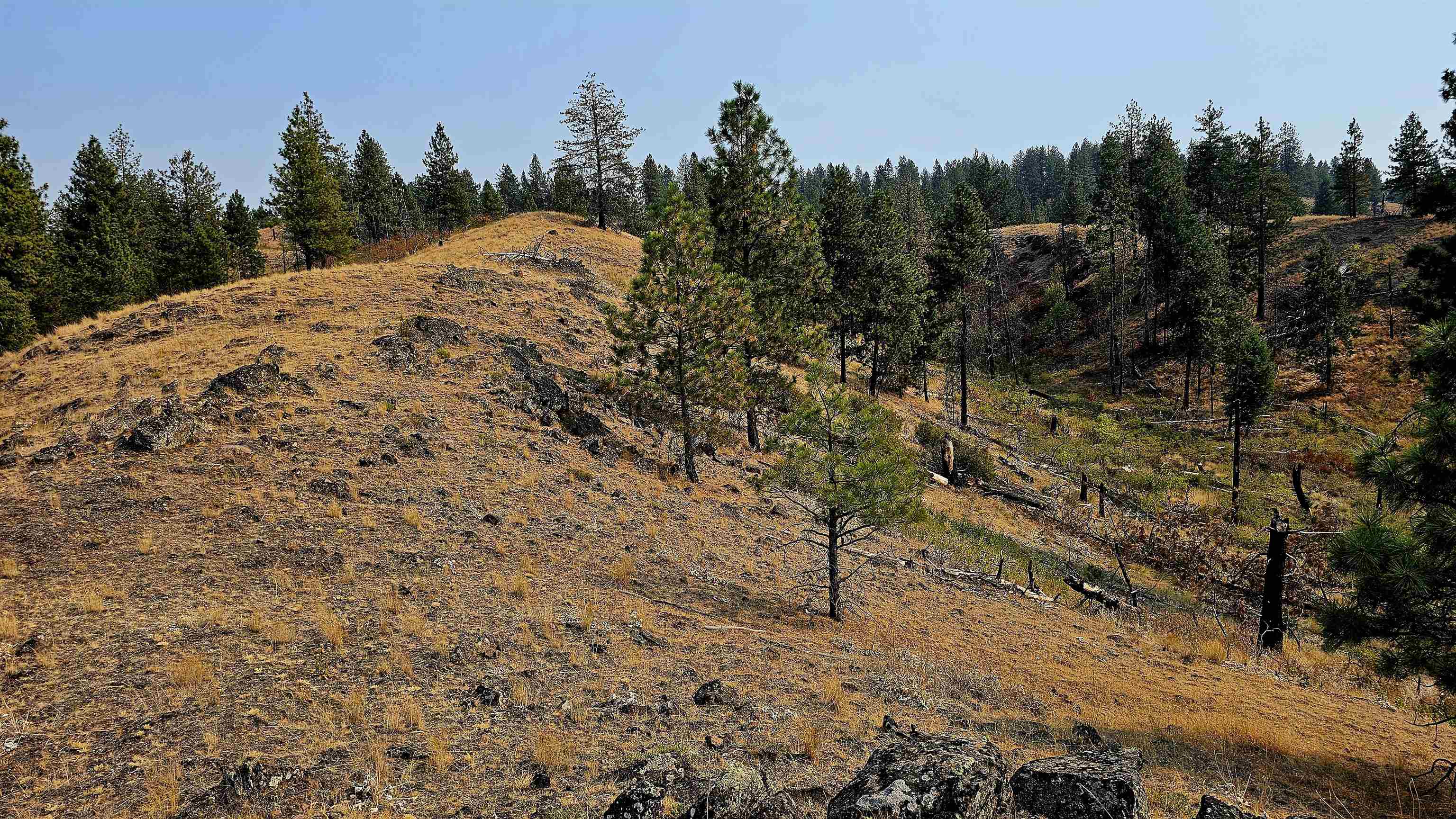 5884 H Coyote Canyon Rd - Photo 24