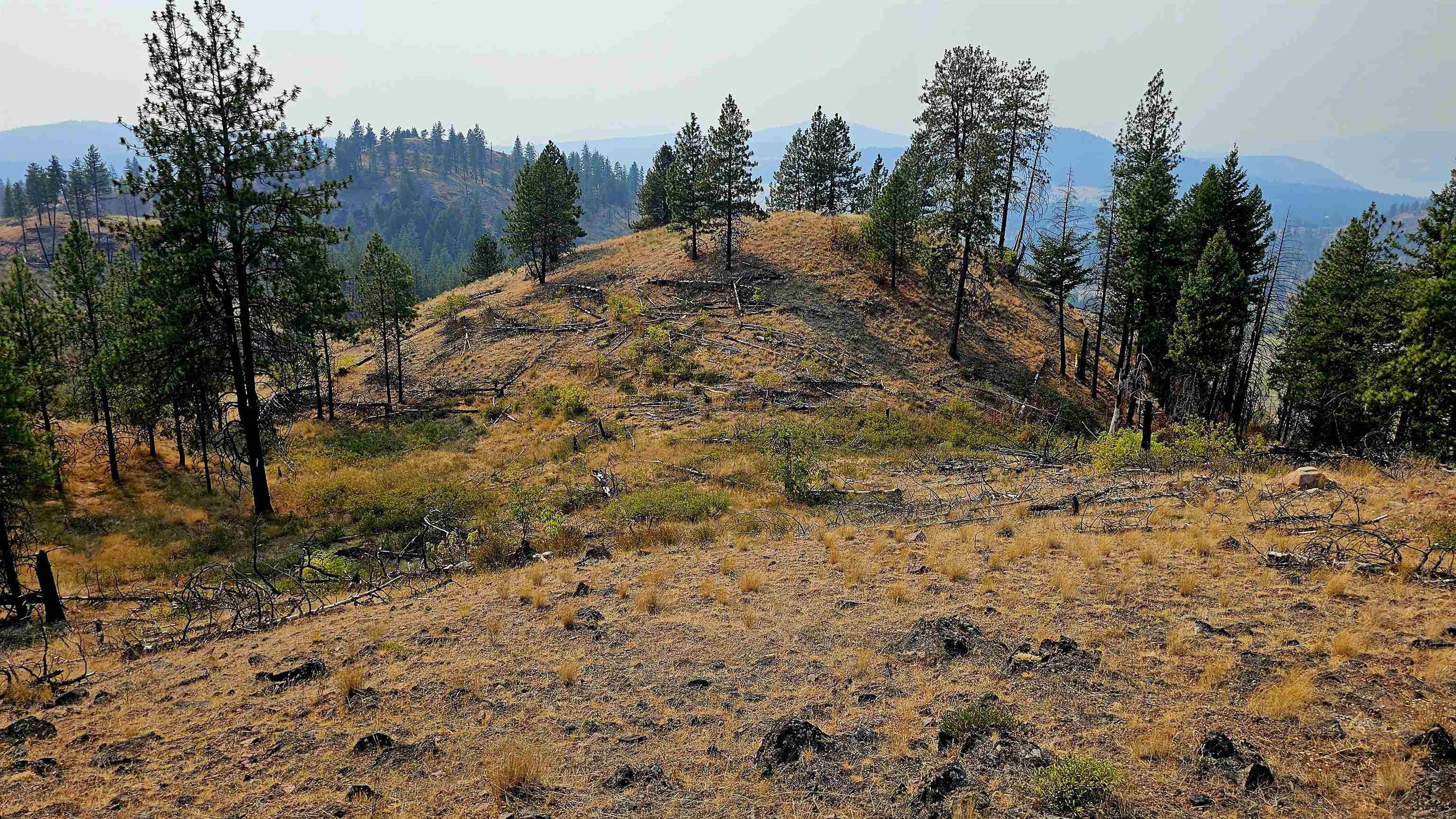 5884 H Coyote Canyon Rd - Photo 25