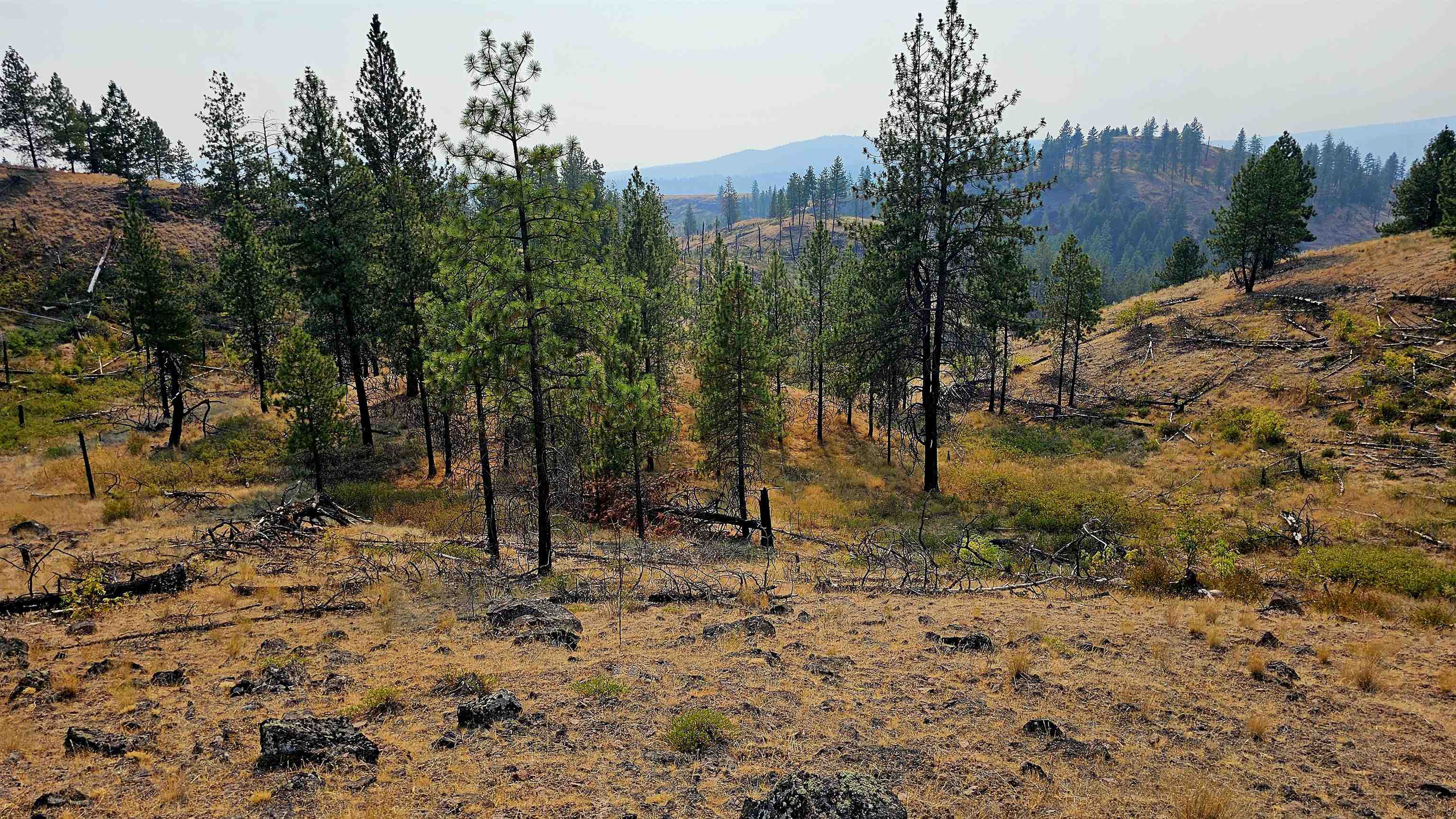 5884 H Coyote Canyon Rd - Photo 26