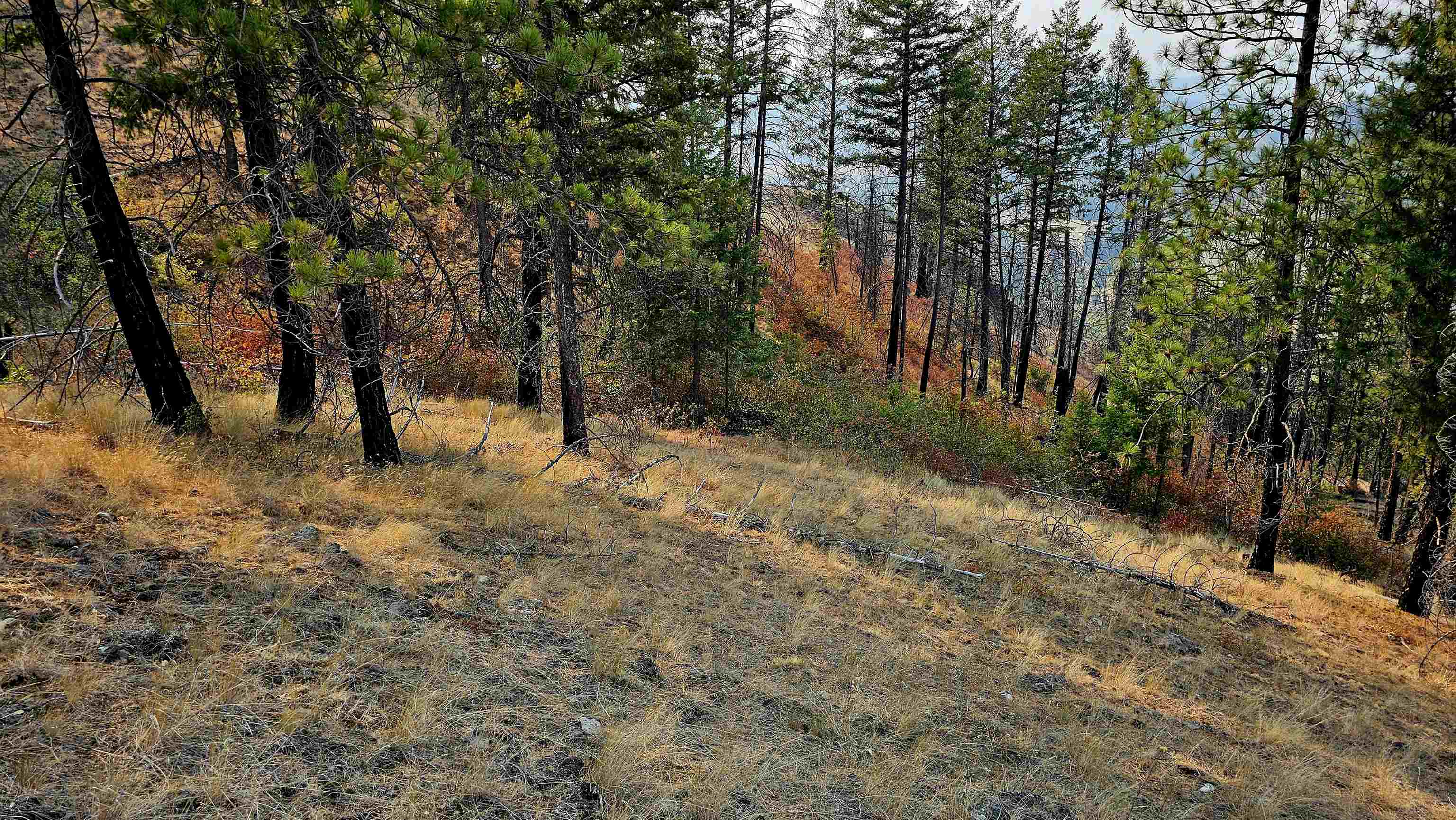 5884 H Coyote Canyon Rd - Photo 27