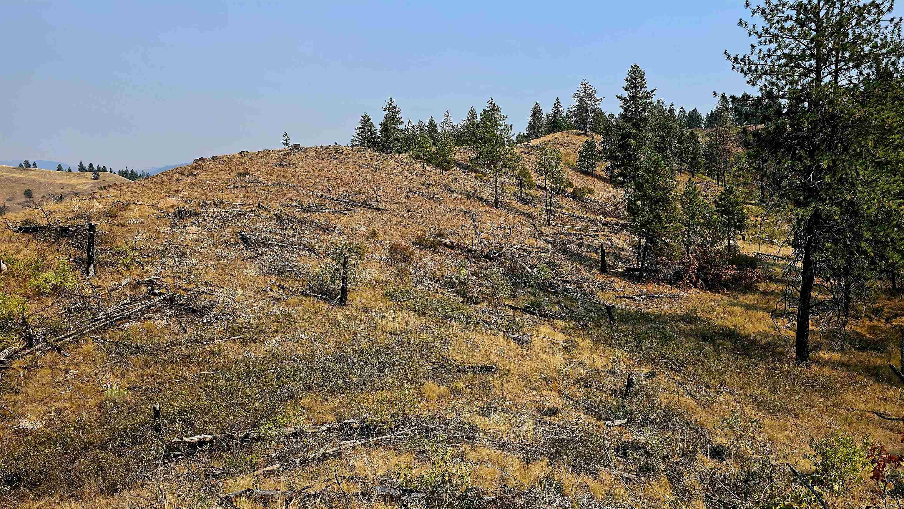 5884 H Coyote Canyon Rd - Photo 29