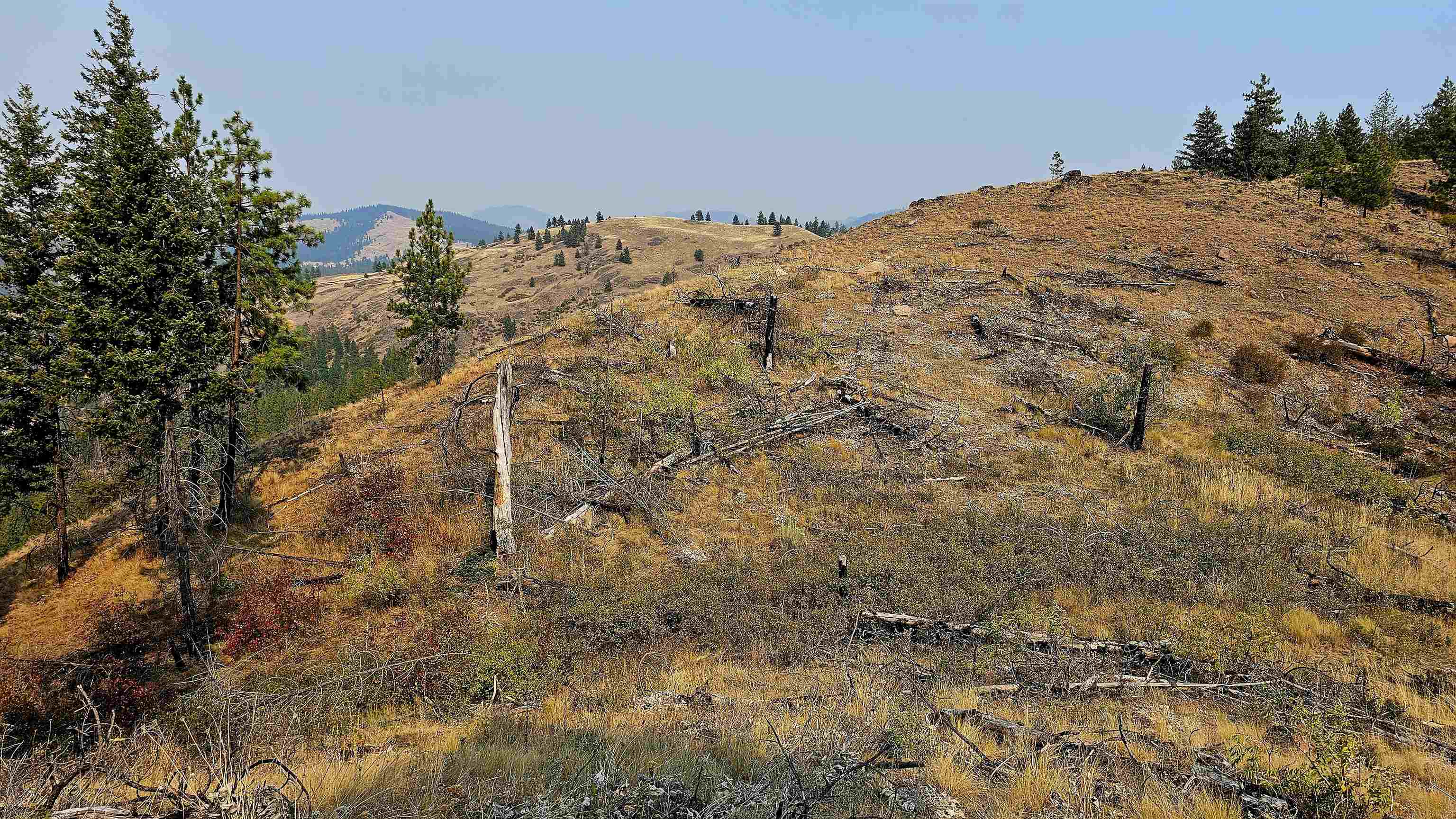 5884 H Coyote Canyon Rd - Photo 30