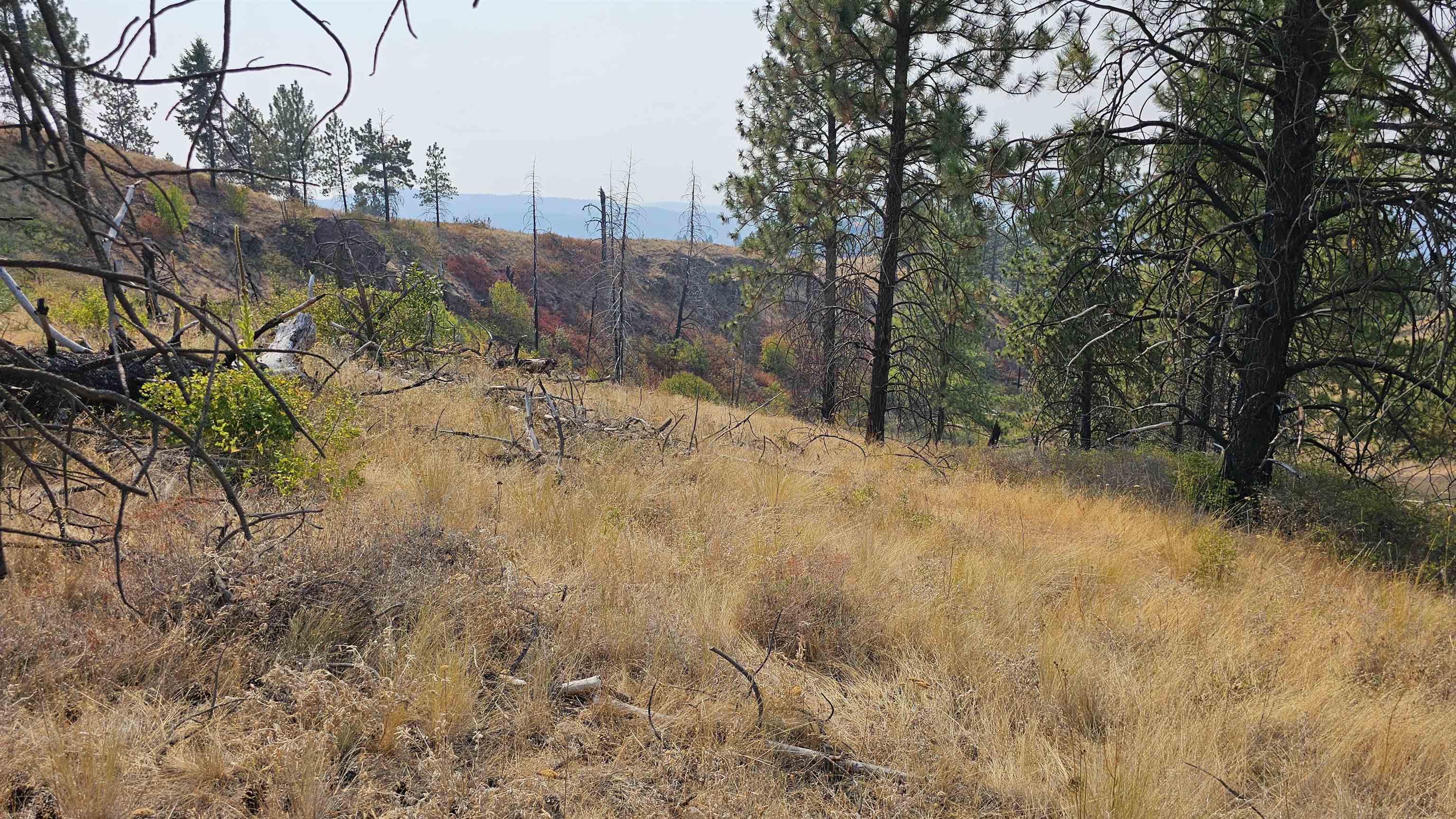 5884 H Coyote Canyon Rd - Photo 4