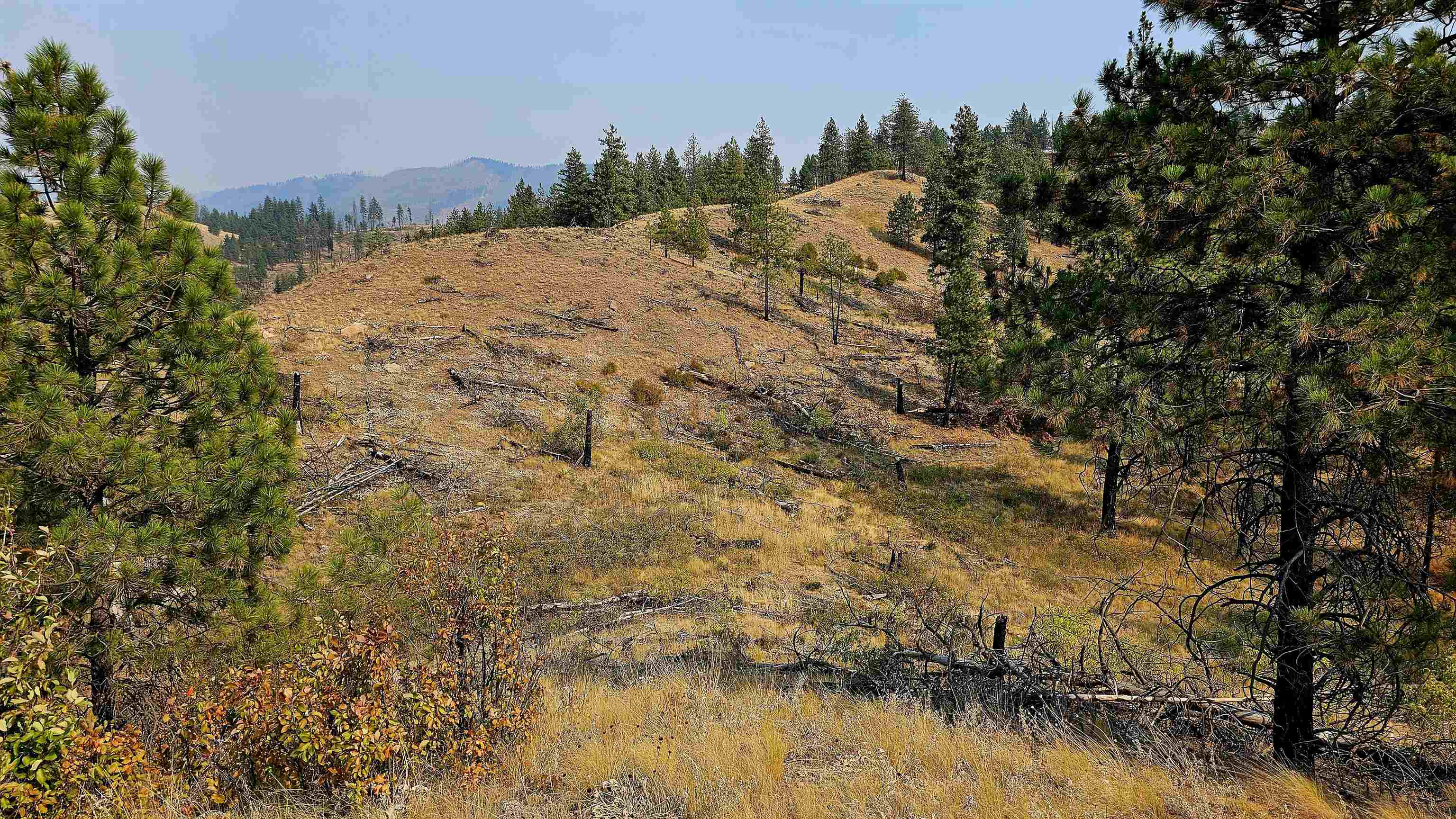 5884 H Coyote Canyon Rd - Photo 31