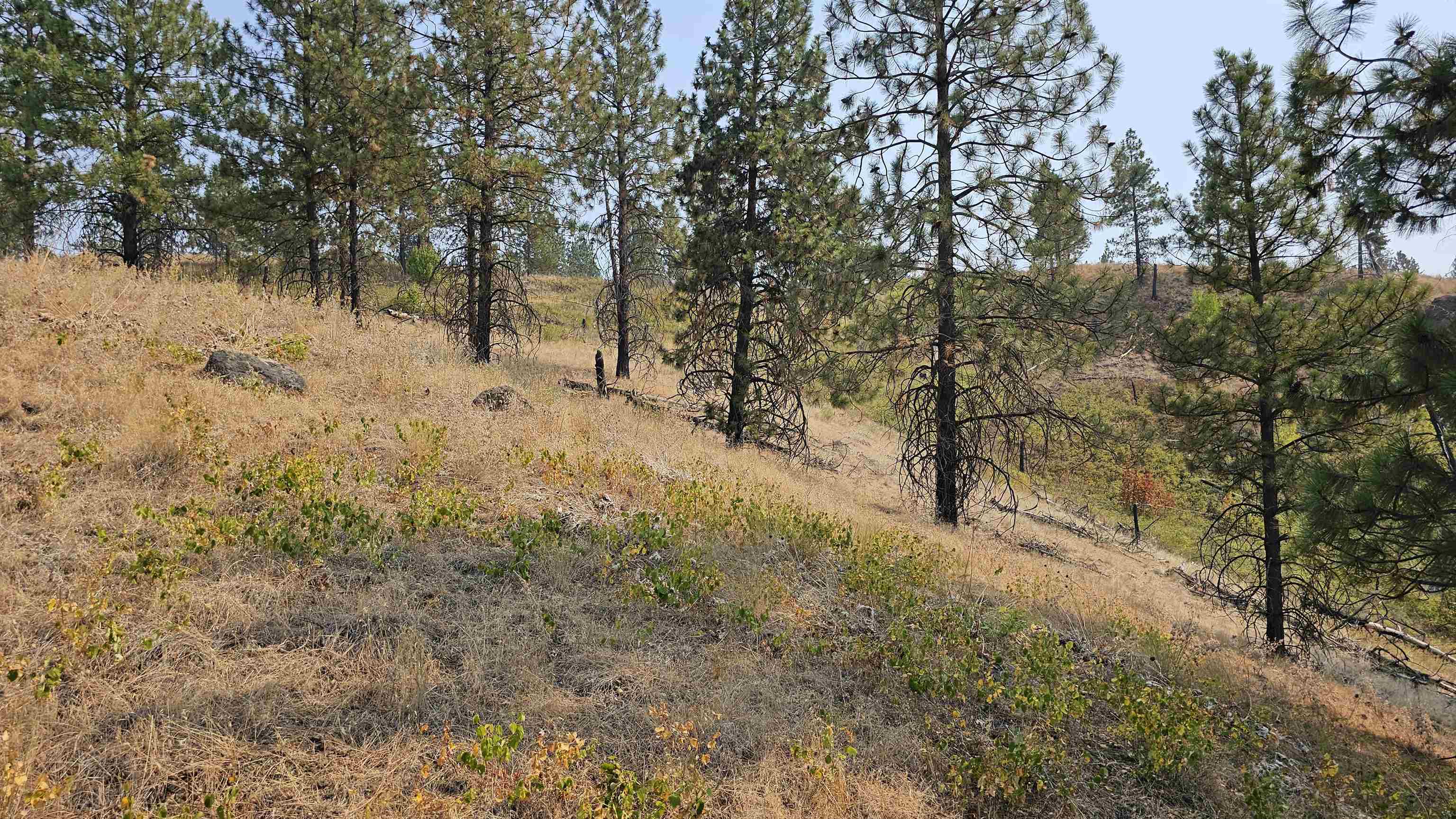 5884 H Coyote Canyon Rd - Photo 7