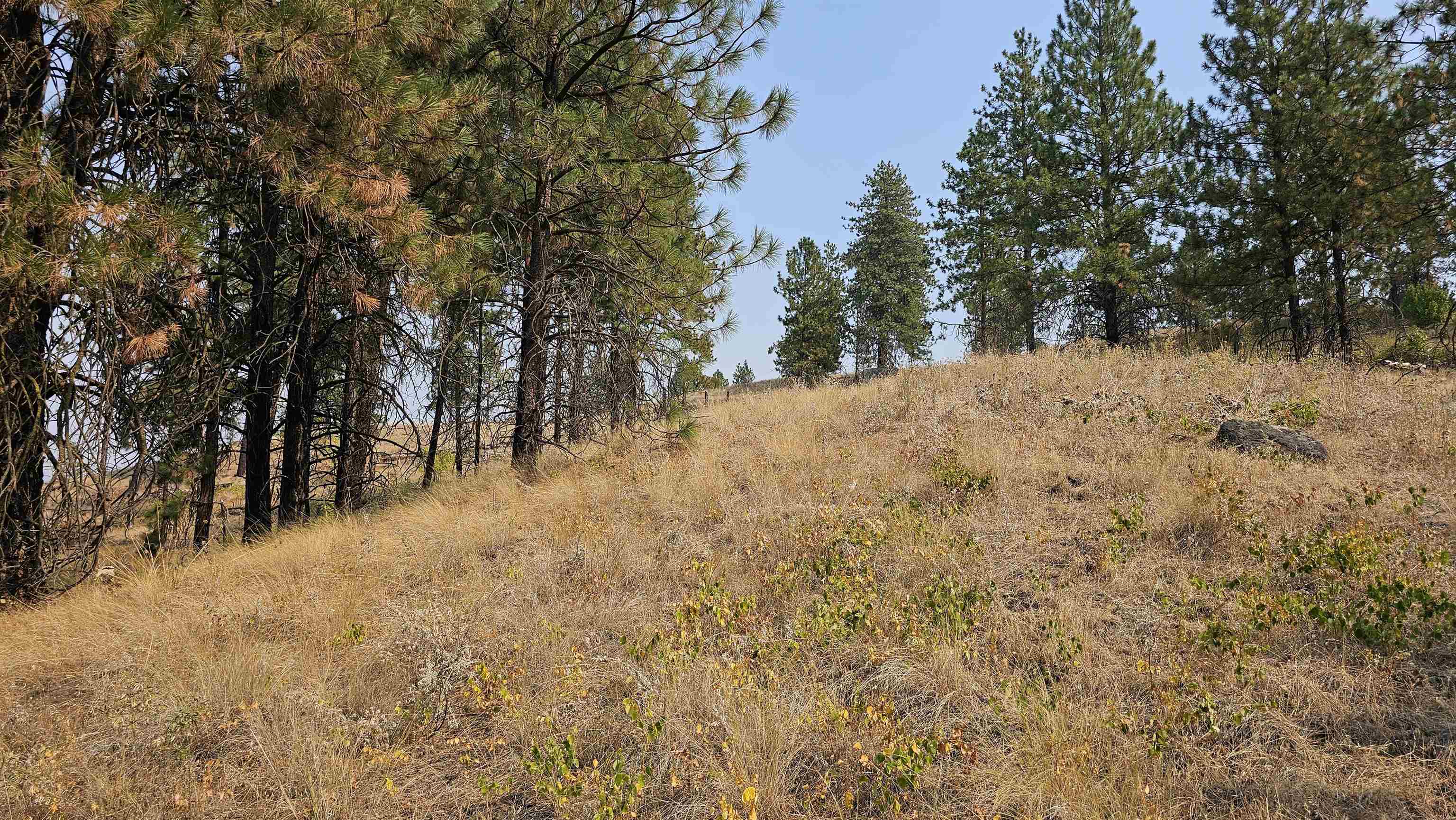 5884 H Coyote Canyon Rd - Photo 8