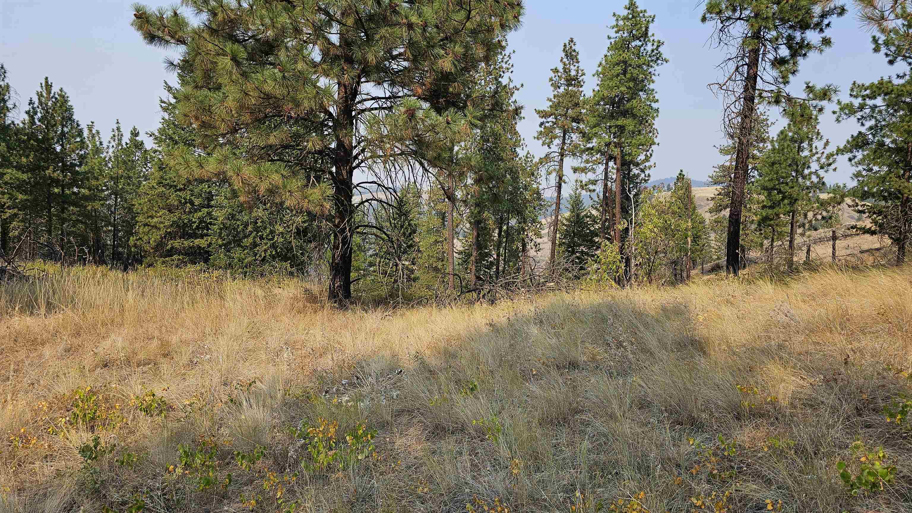 5884 H Coyote Canyon Rd - Photo 9