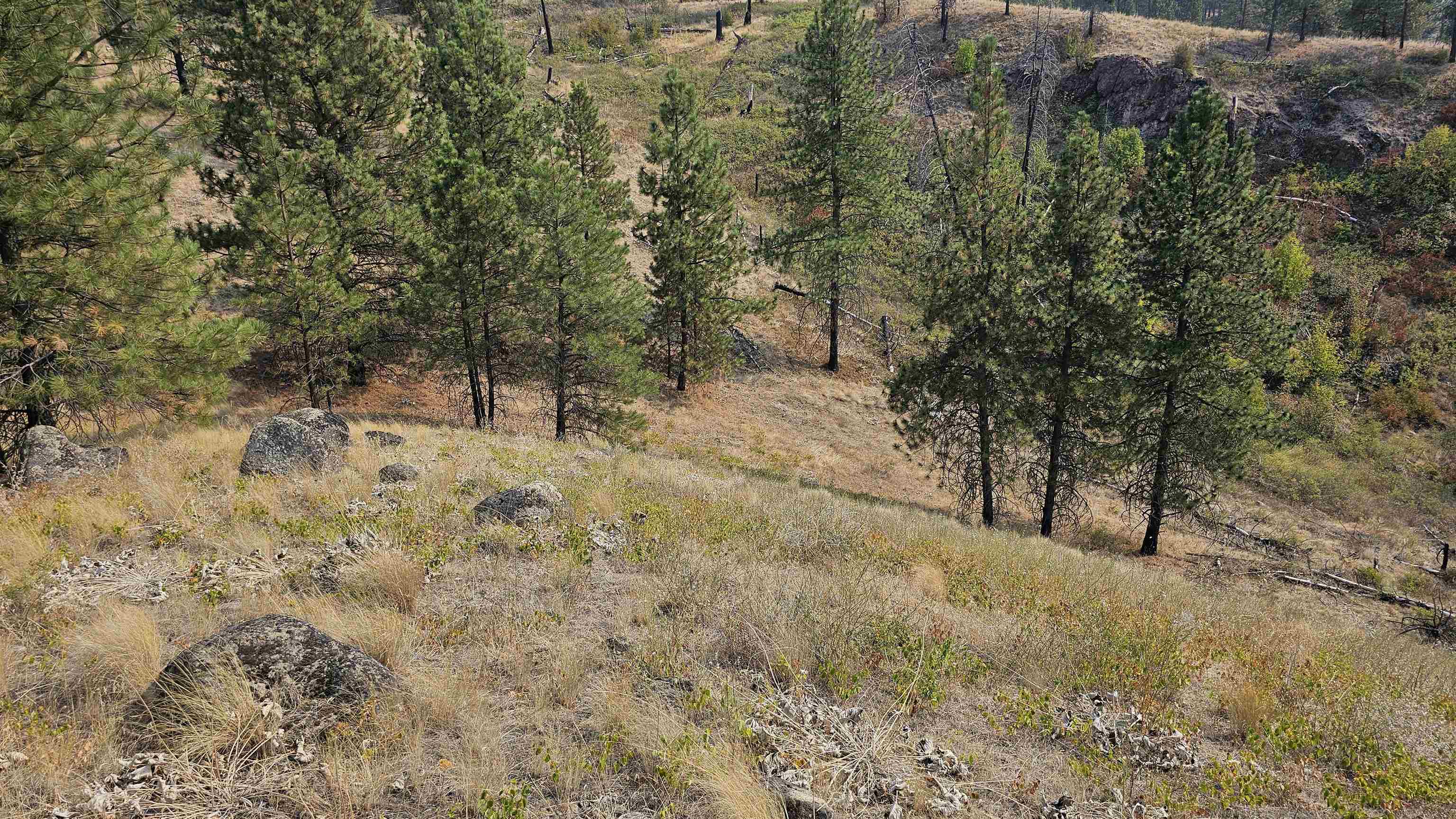 5884 H Coyote Canyon Rd - Photo 10