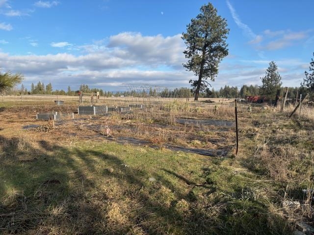13611 S SHORT RD Rd - Photo 12