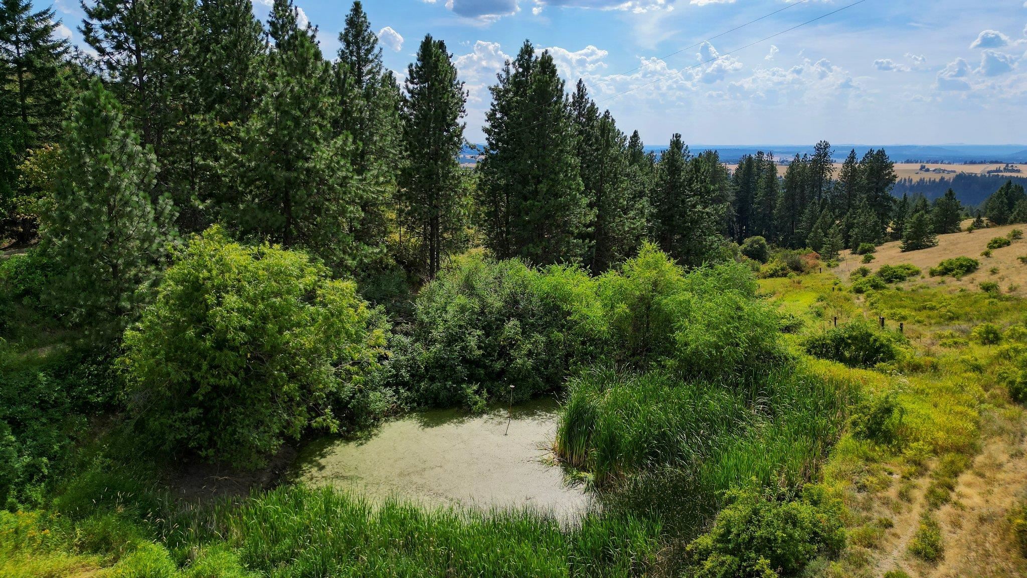 17107 E Frederick  (21.84 Acres) Rd - Photo 35