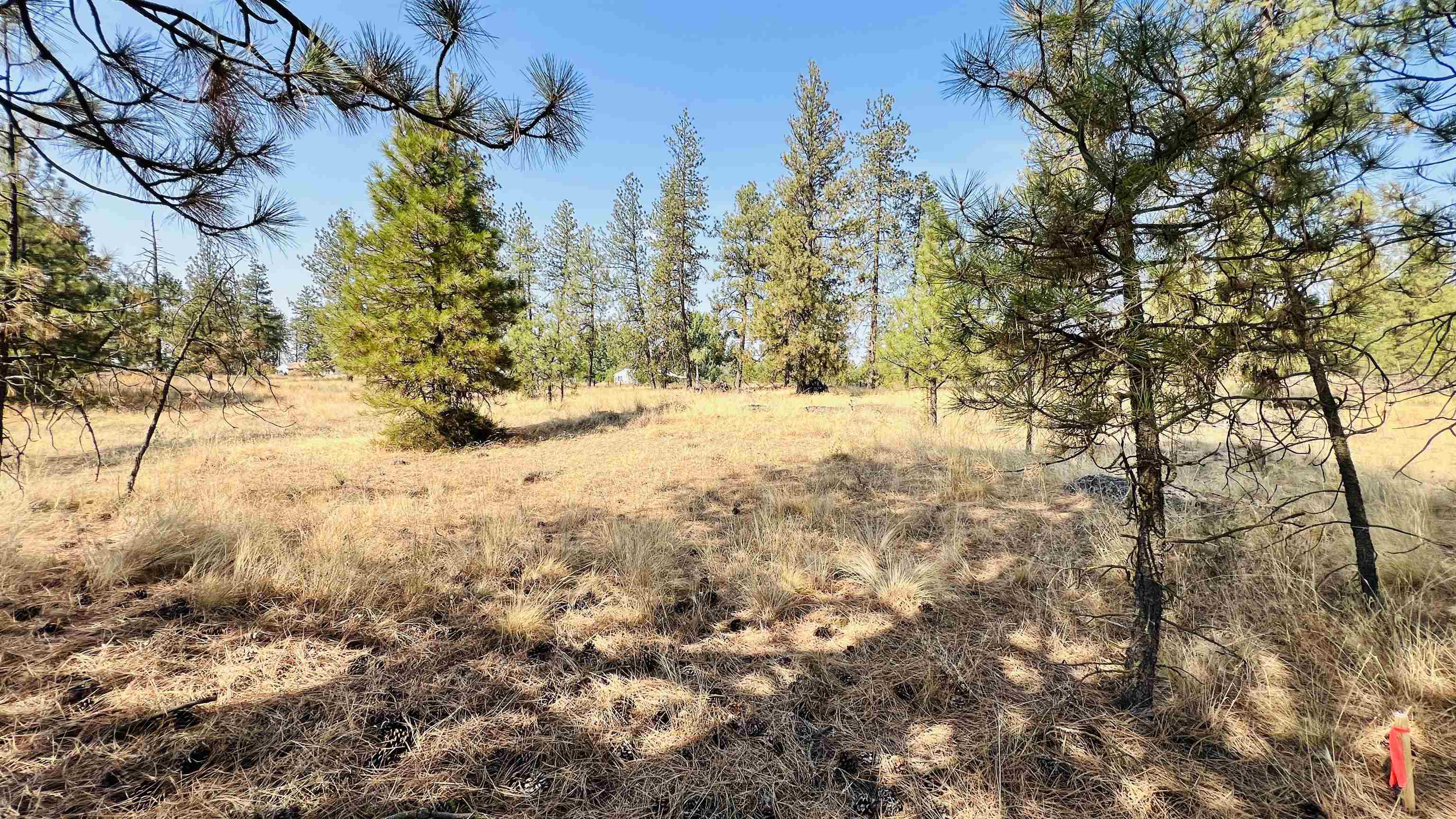 xxx W Brooks Rd - Photo 11