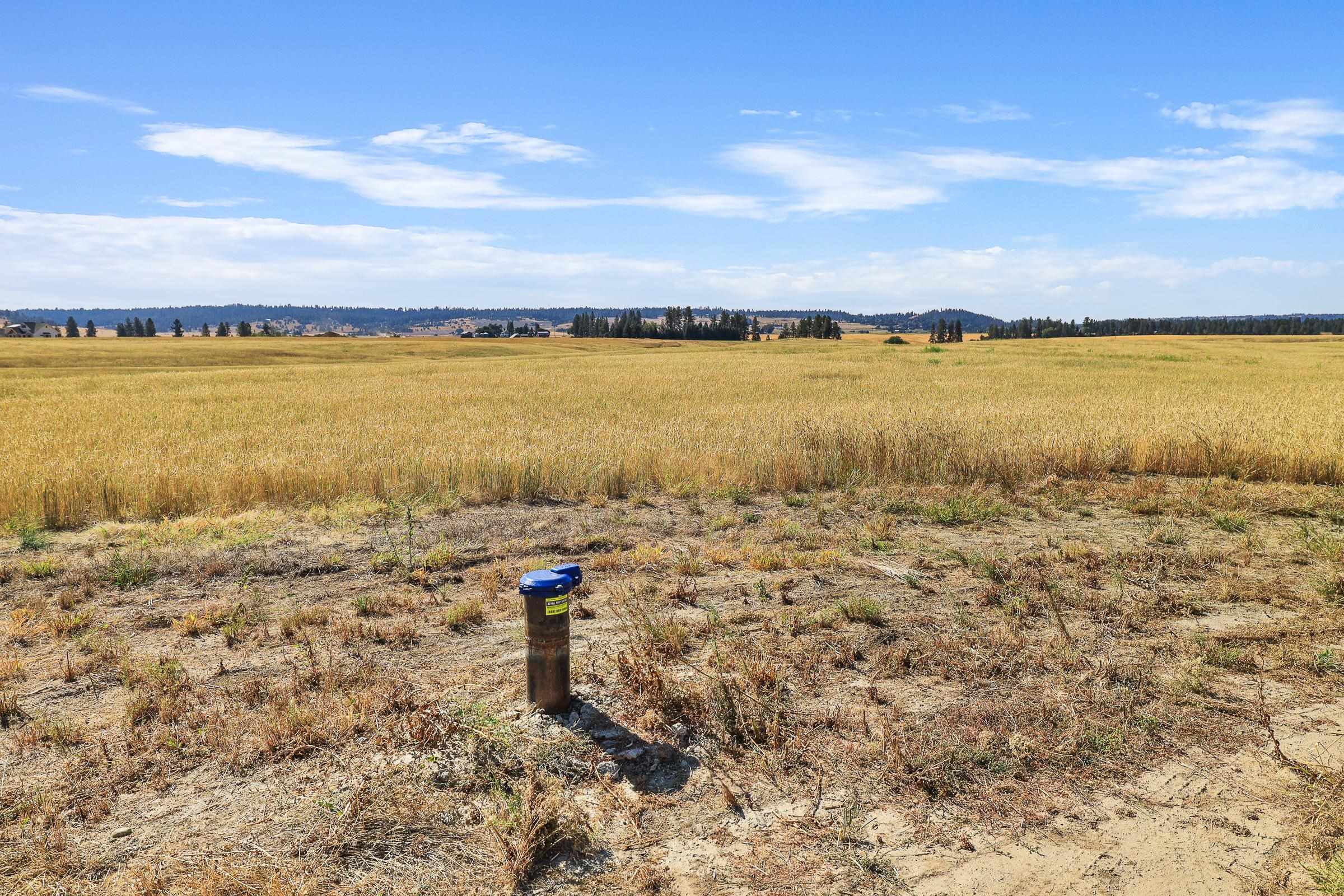 8054 E Mt Spokane Park Dr - Photo 4