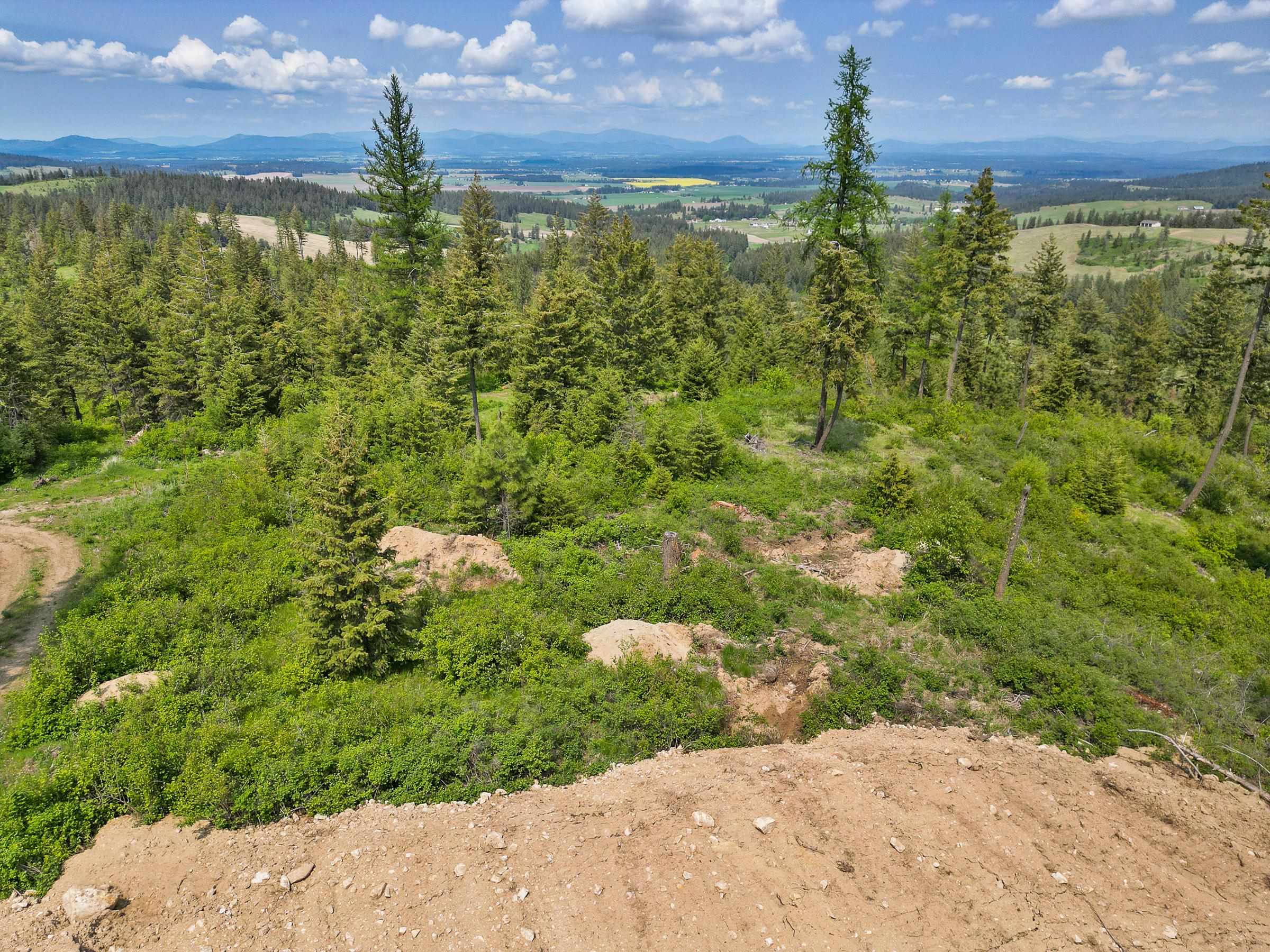NKA N Moose Drool Ln - Photo 8