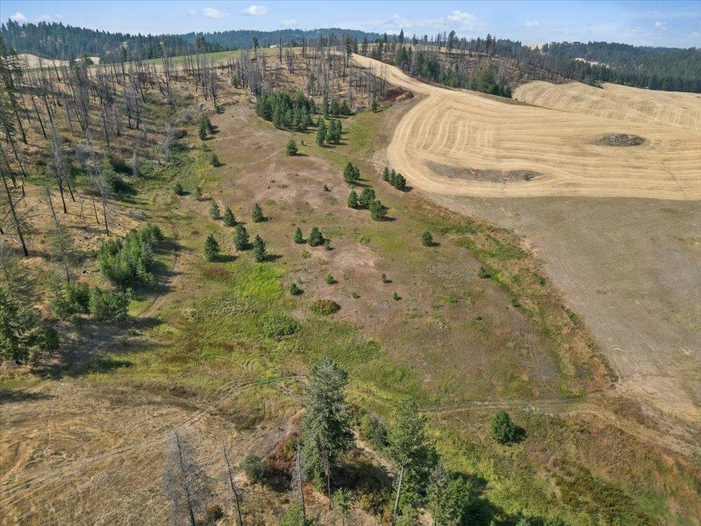 NKA W Ballard Rd - Photo 14