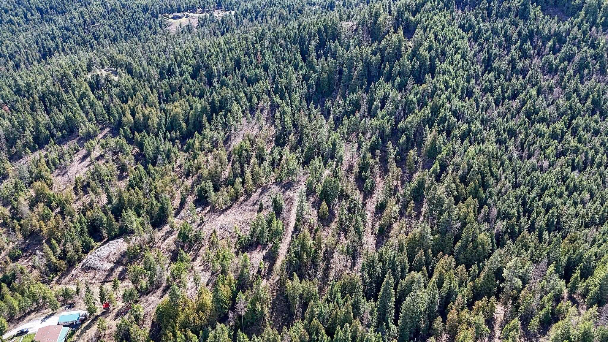 XXXX N. Cougar Ln - Photo 11