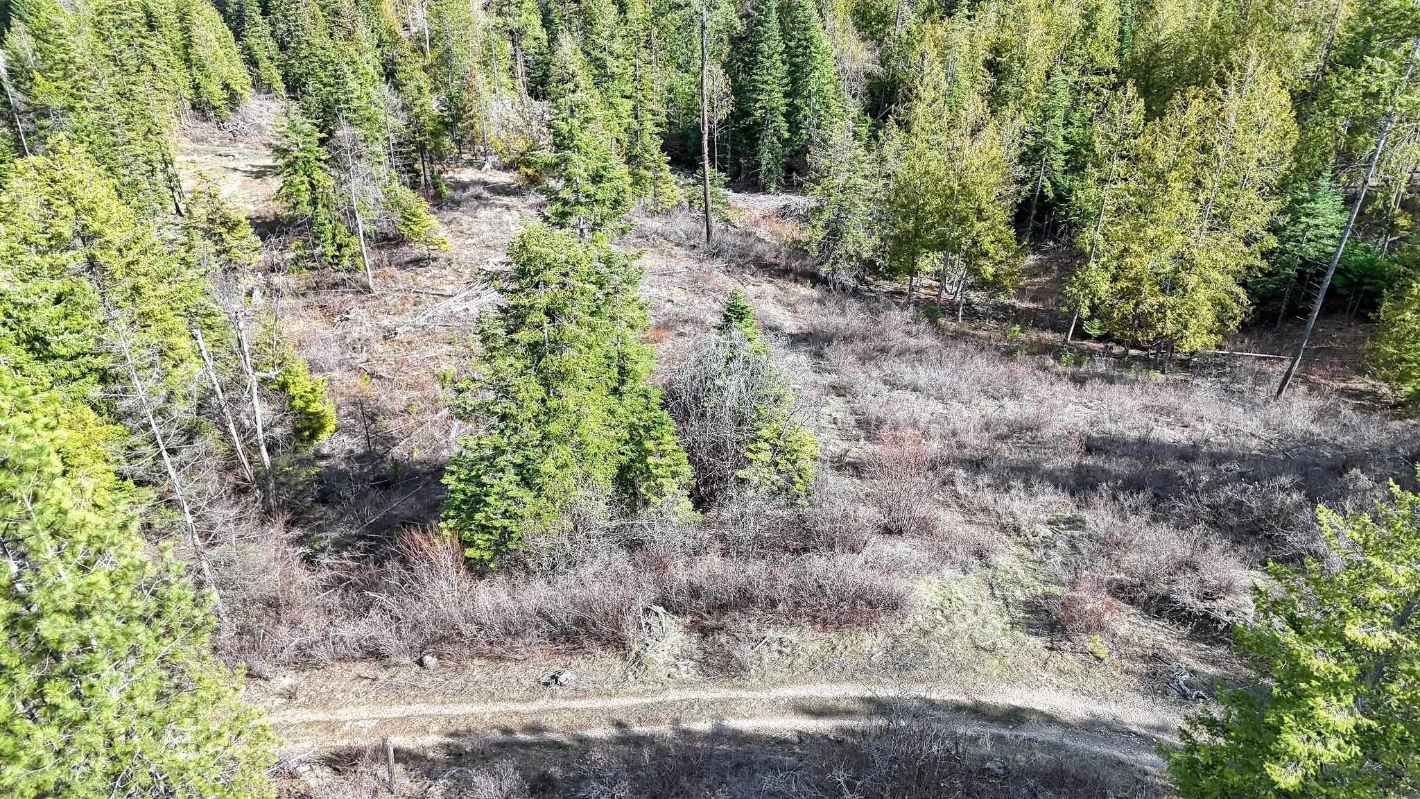 XXXX N. Cougar Ln - Photo 5