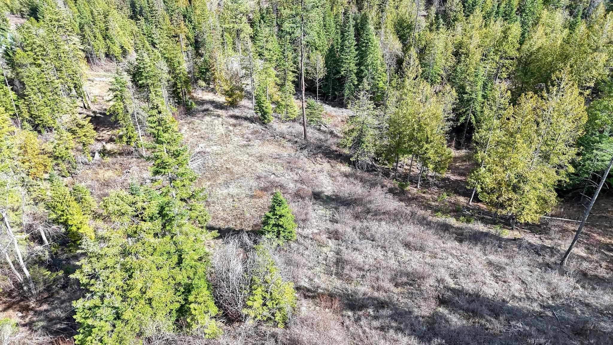 XXXX N. Cougar Ln - Photo 6