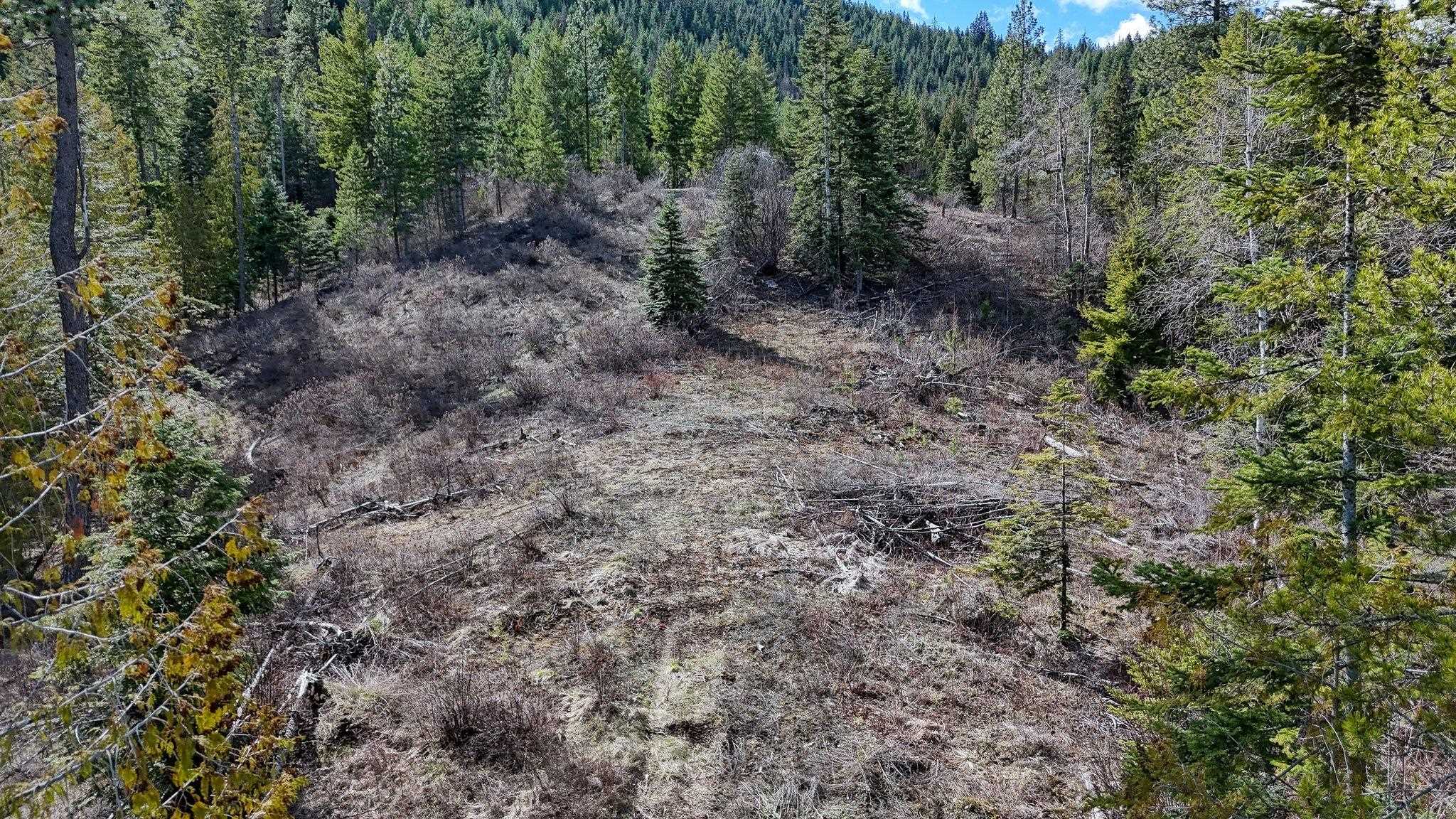 XXXX N. Cougar Ln - Photo 7
