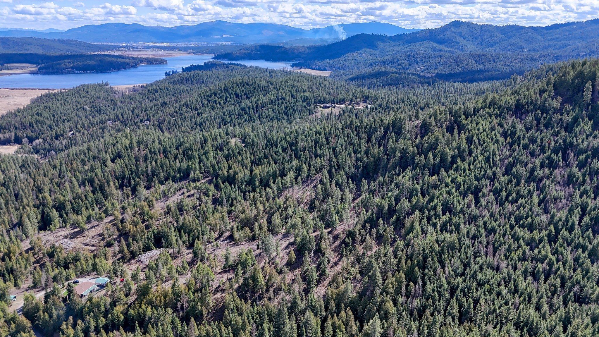 XXXX N. Cougar Ln - Photo 8
