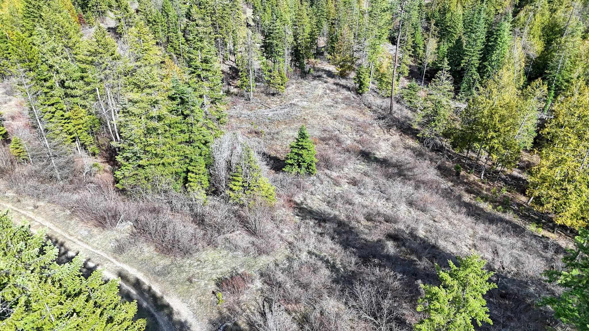 XXXX N. Cougar Ln - Photo 10